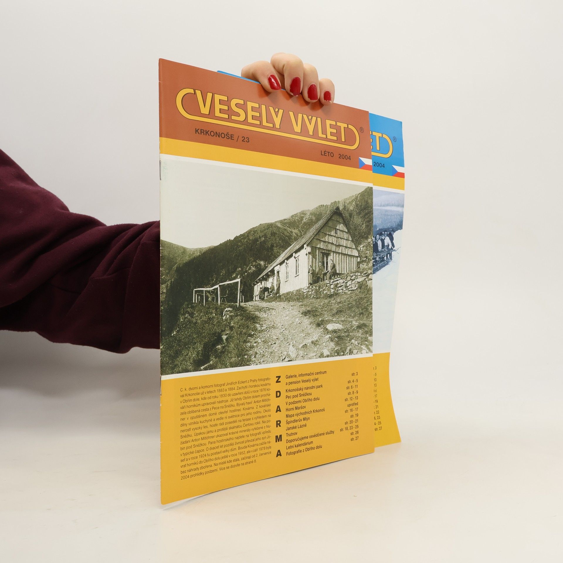 Autorenkollektiv Veselý výlet, léto + zima 2004