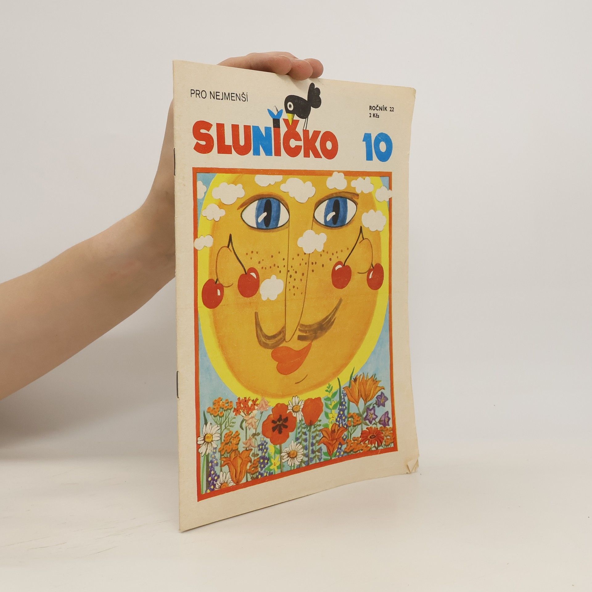 Kolektiv autorů Sluníčko 10. Ročník 22