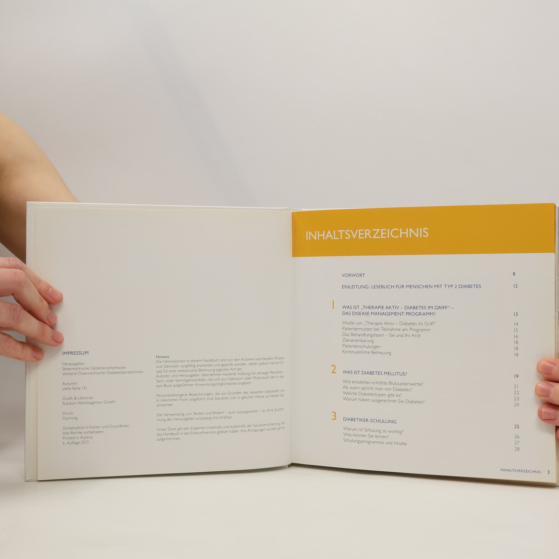 Autorenkollektiv Patientenhandbuch Diabetes mellitus Typ 2