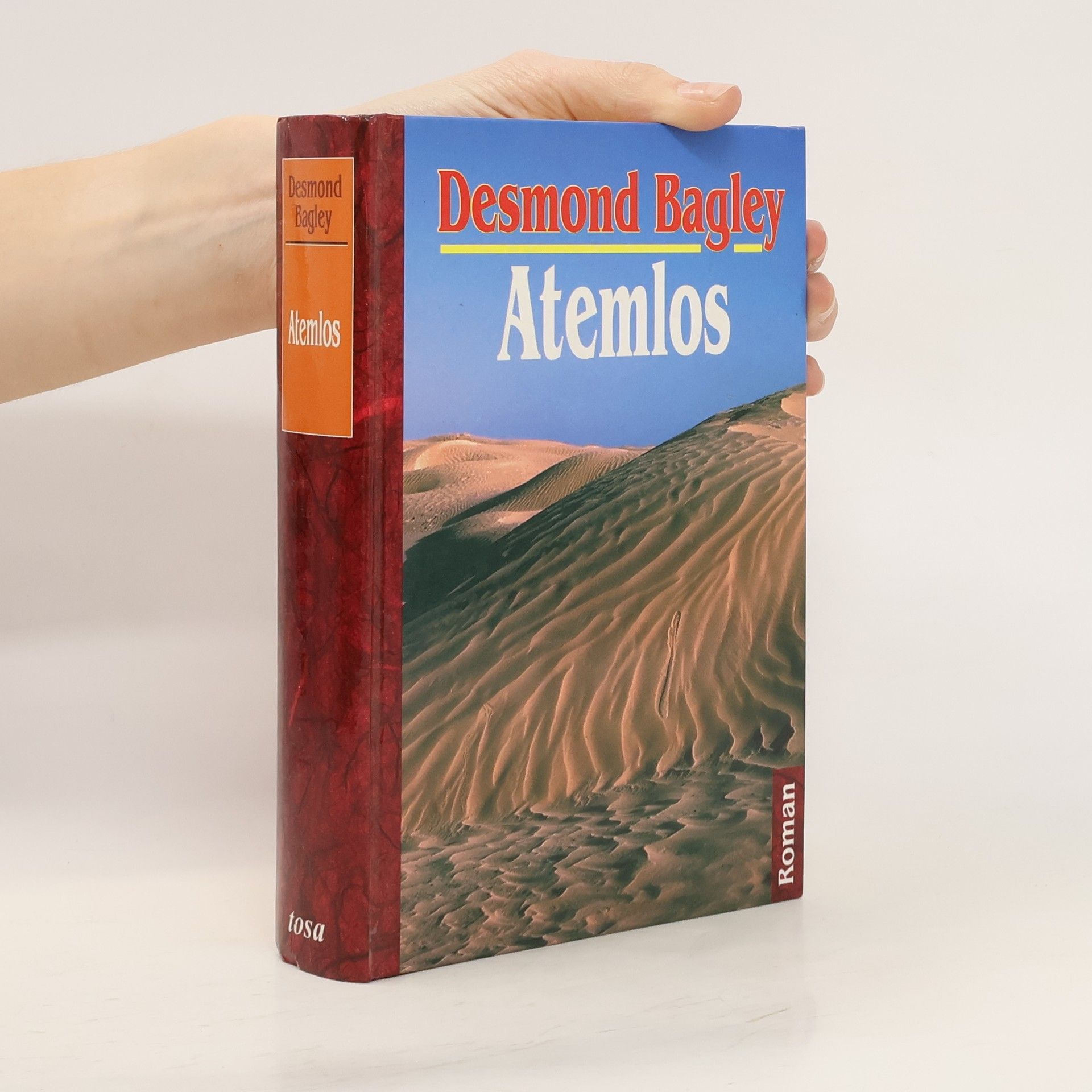 Desmond Bagley Atemlos