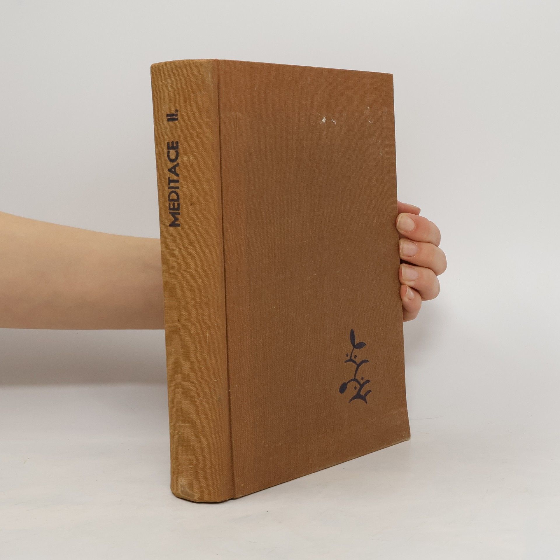 Auteurscollectief Meditace II