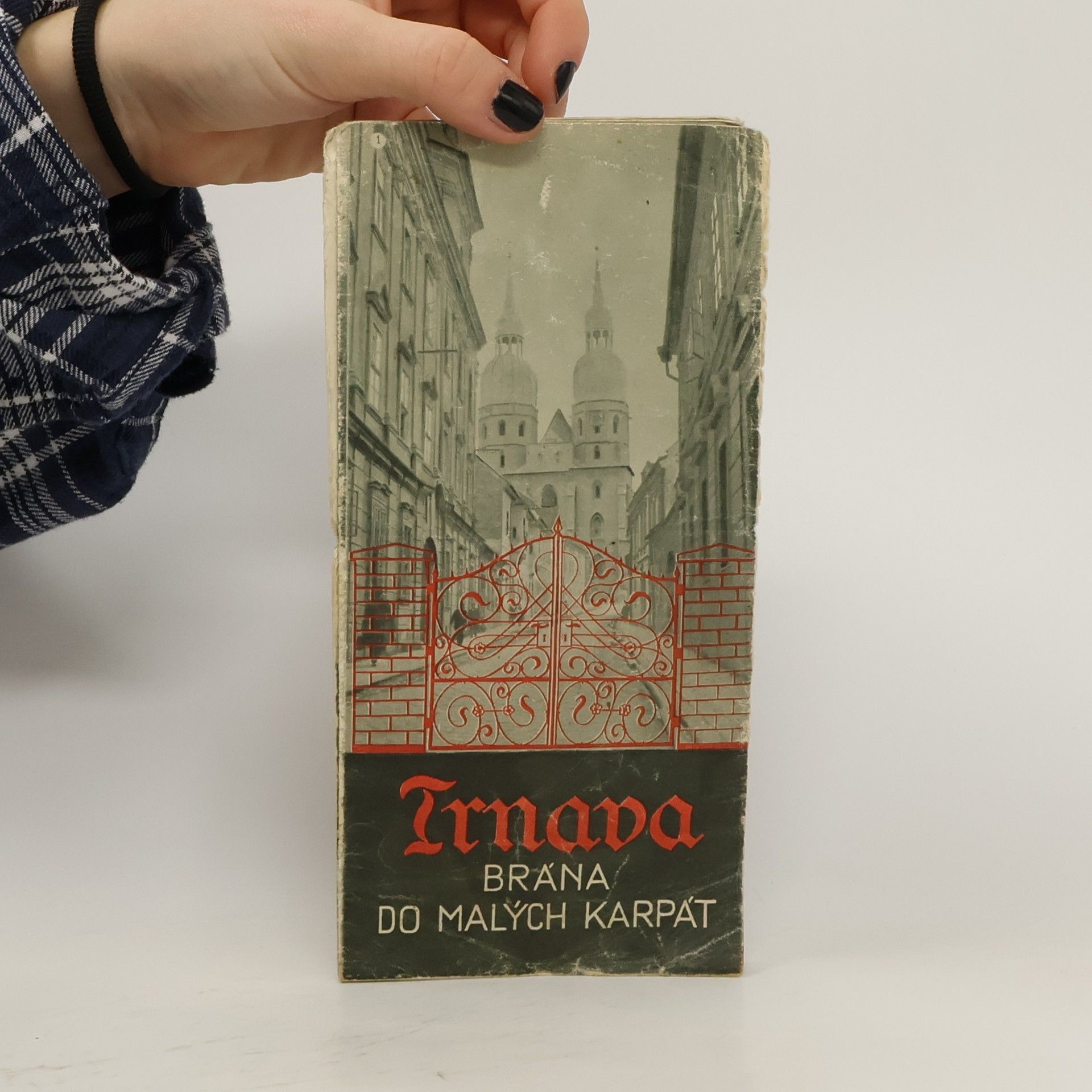 kolektiv Trnava: Brána do malých karpát
