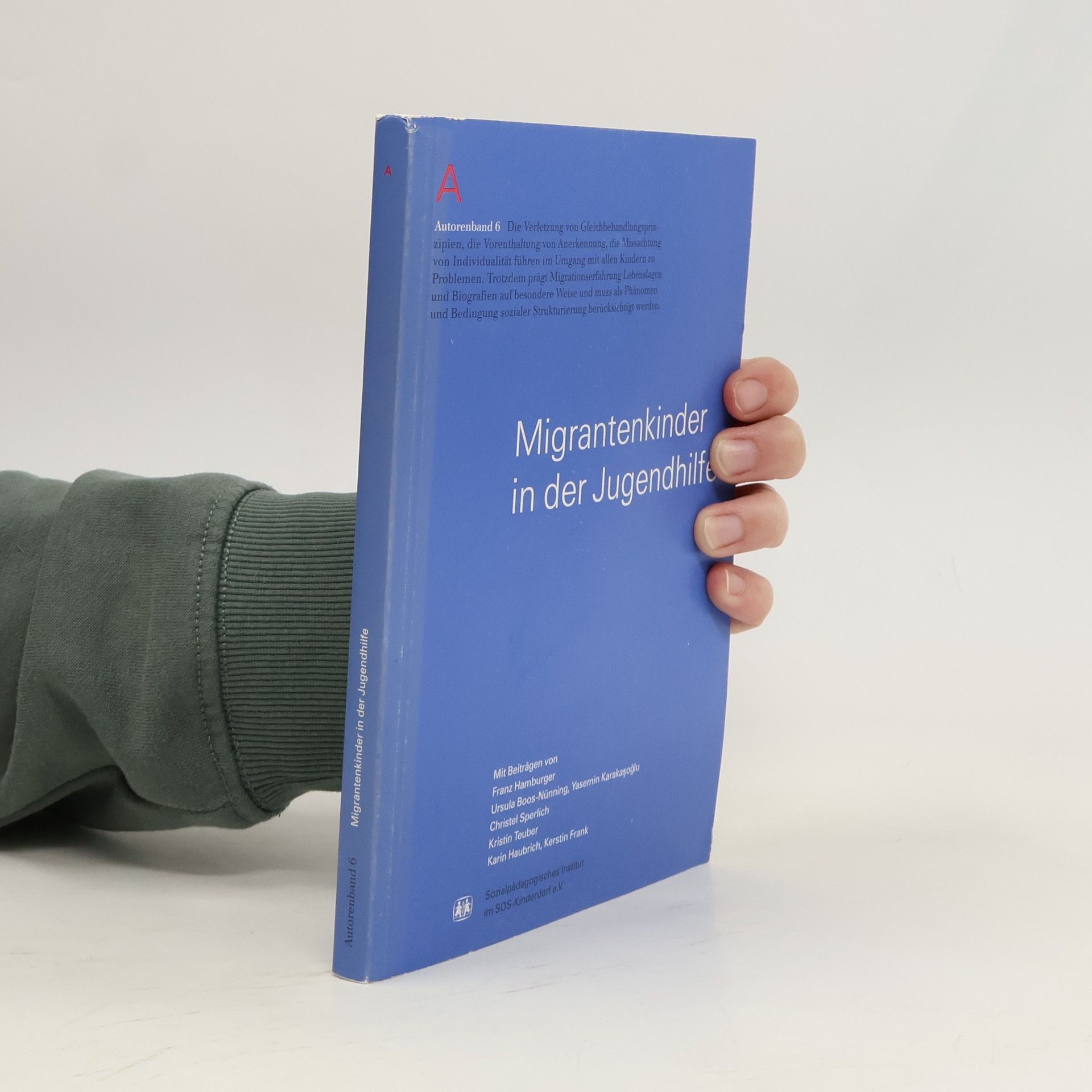 Autorenkollektiv Migrantenkinder in der Jugendhilfe. Autorenband 6