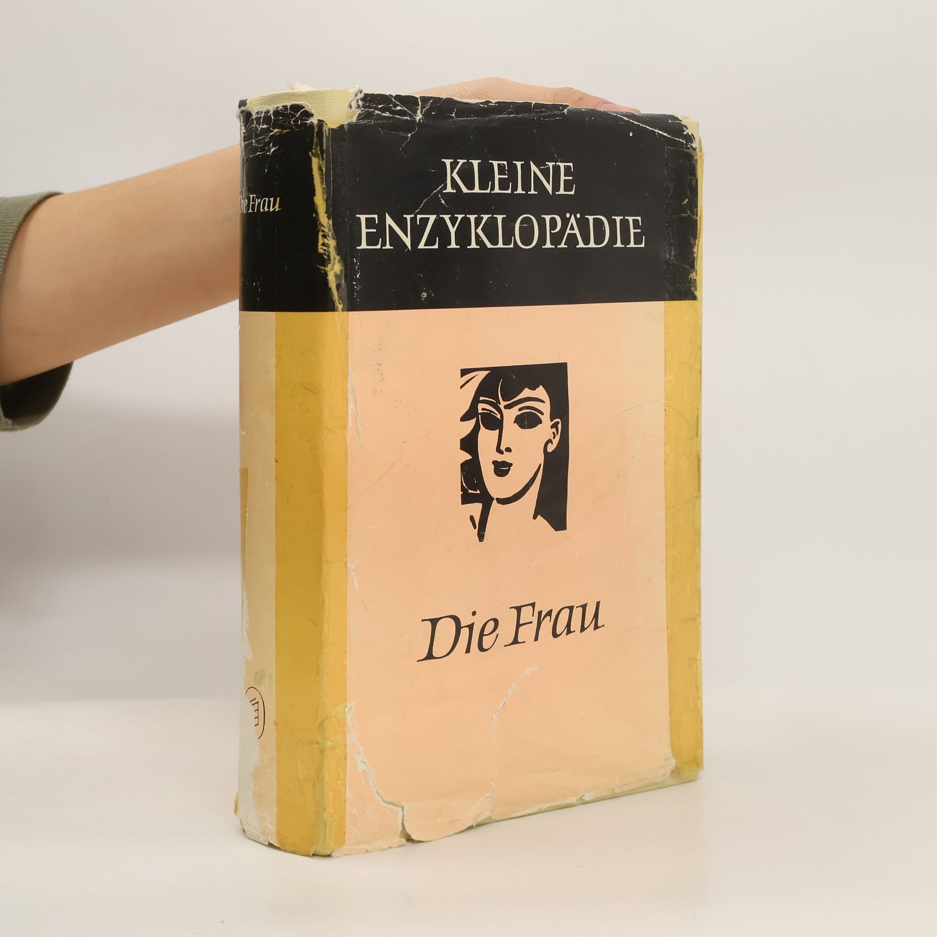 Kolektív autorov Kleine Enzyklopädie. Die Frau