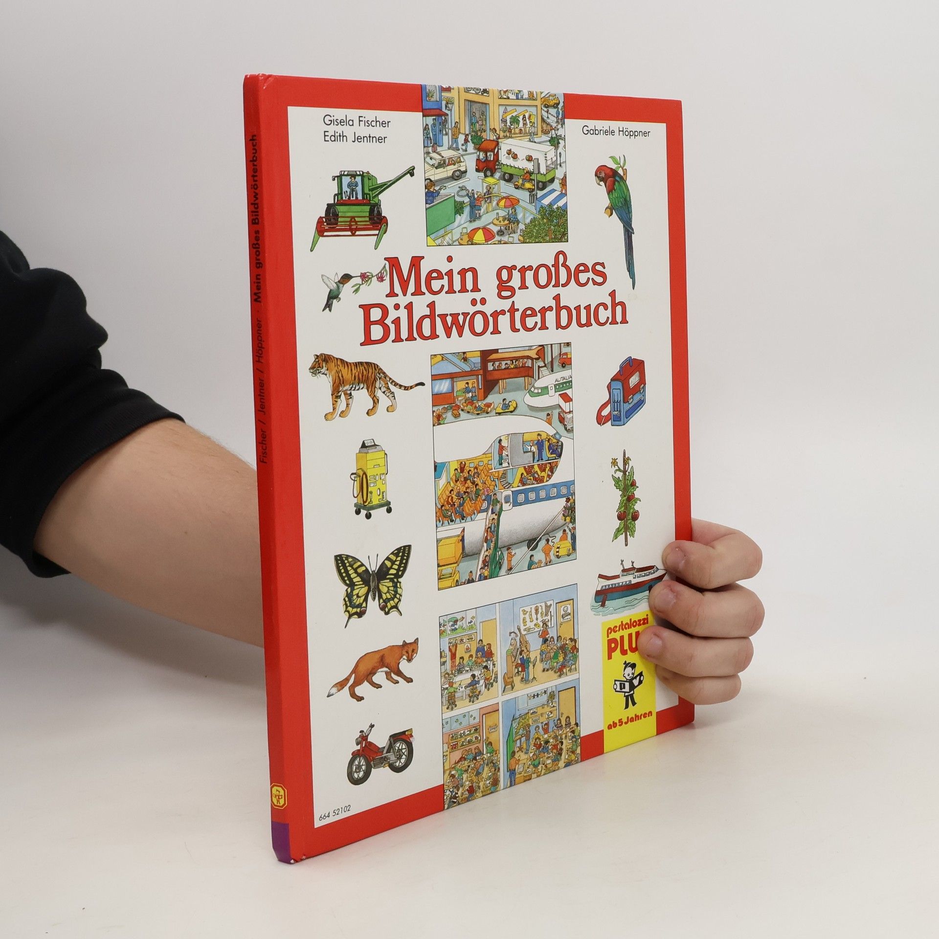 Gisela Fischer-Lingat Mein grosses Bildwörterbuch