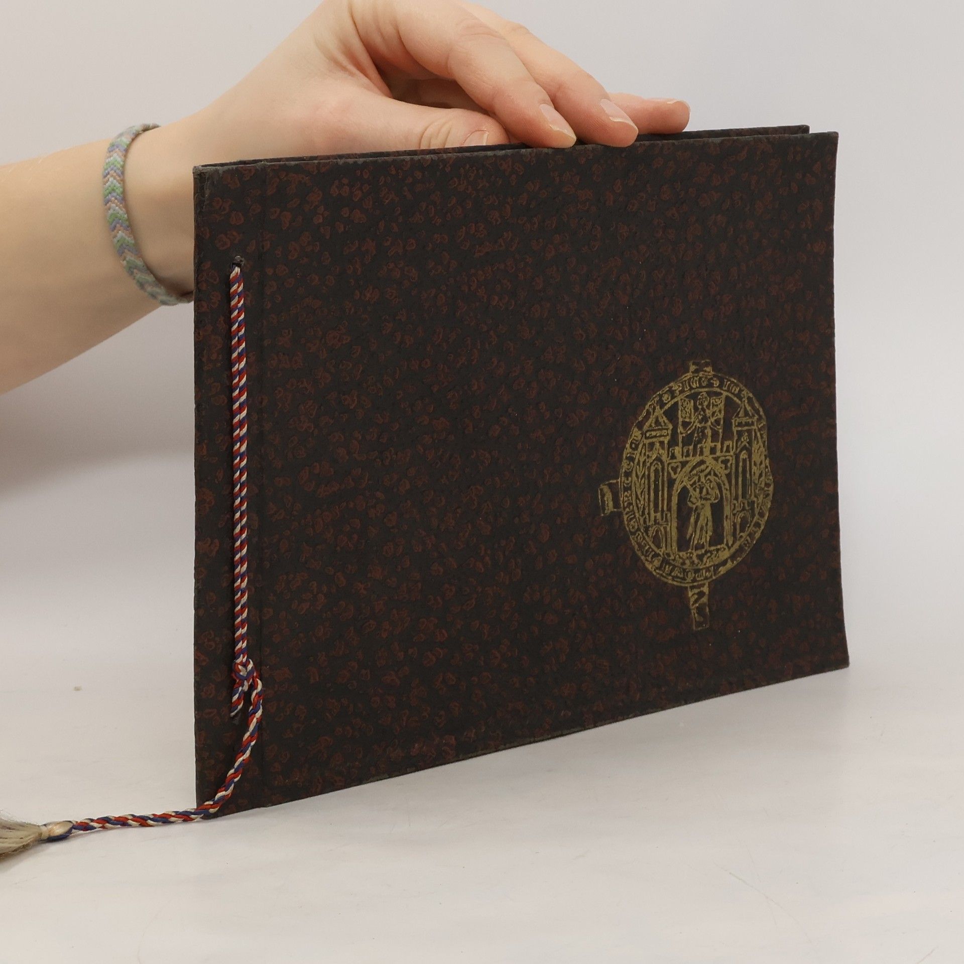 Autorenkollektiv American Army of Plzeň. Czechoslovakia May 1945/ Americká armáda v Plzni. Československo Květen 1945