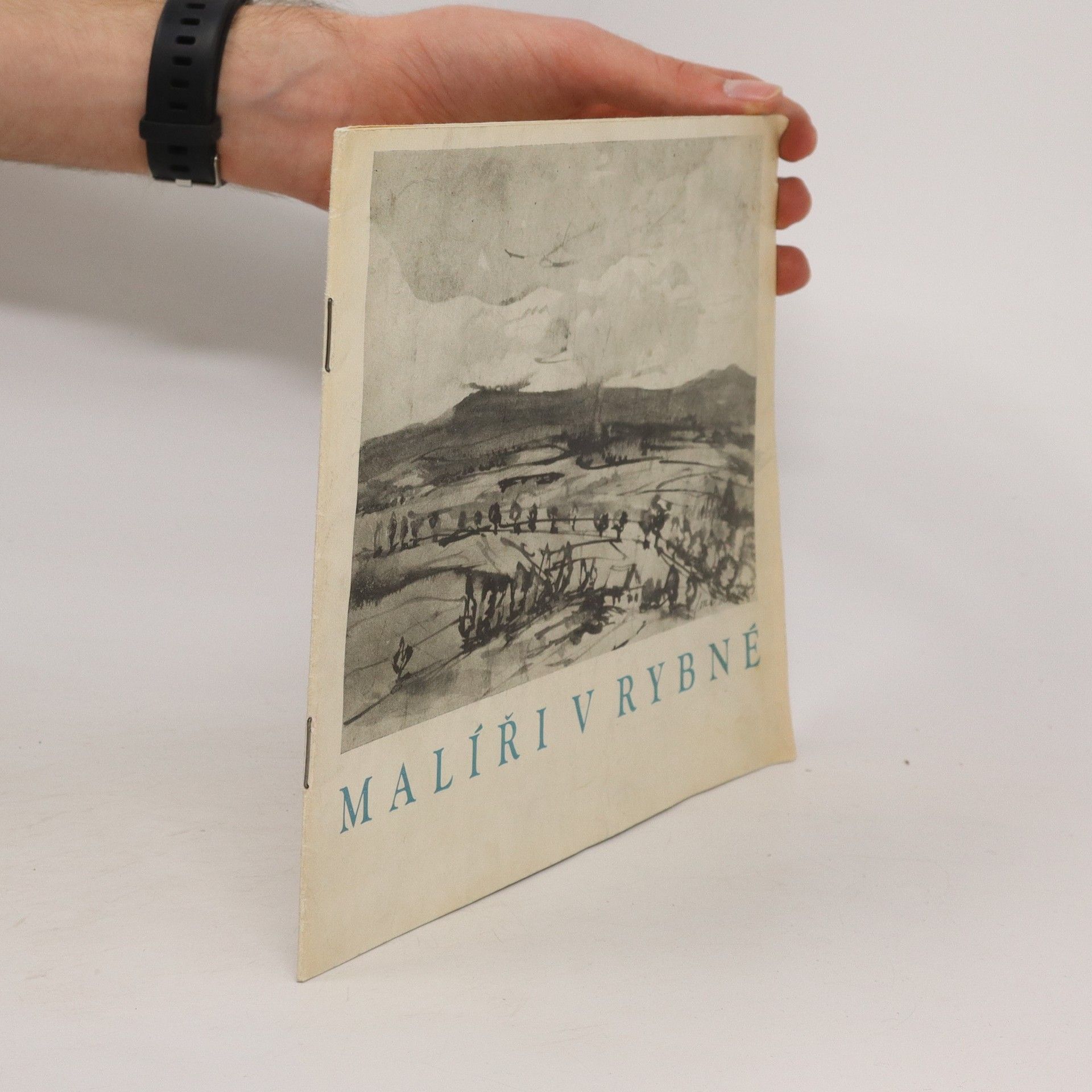 Auteurscollectief Malíři v Rybné