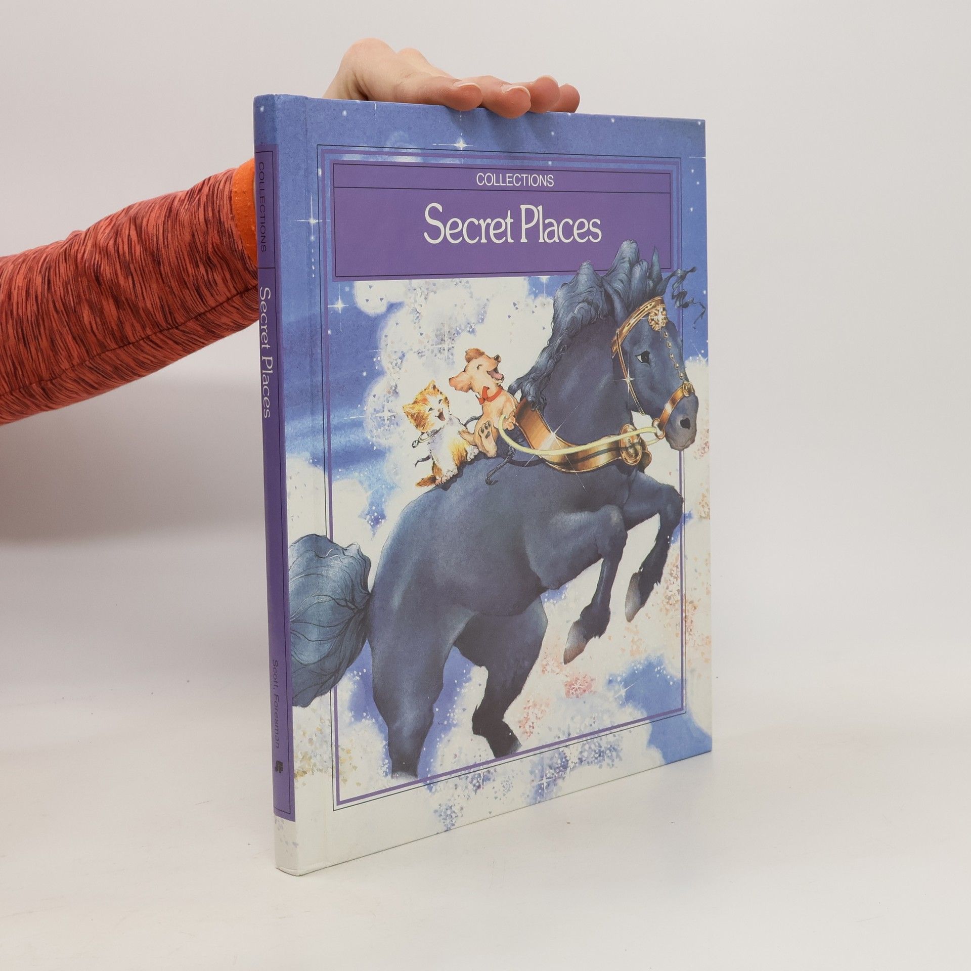 Kolektiv autorů Secret Places