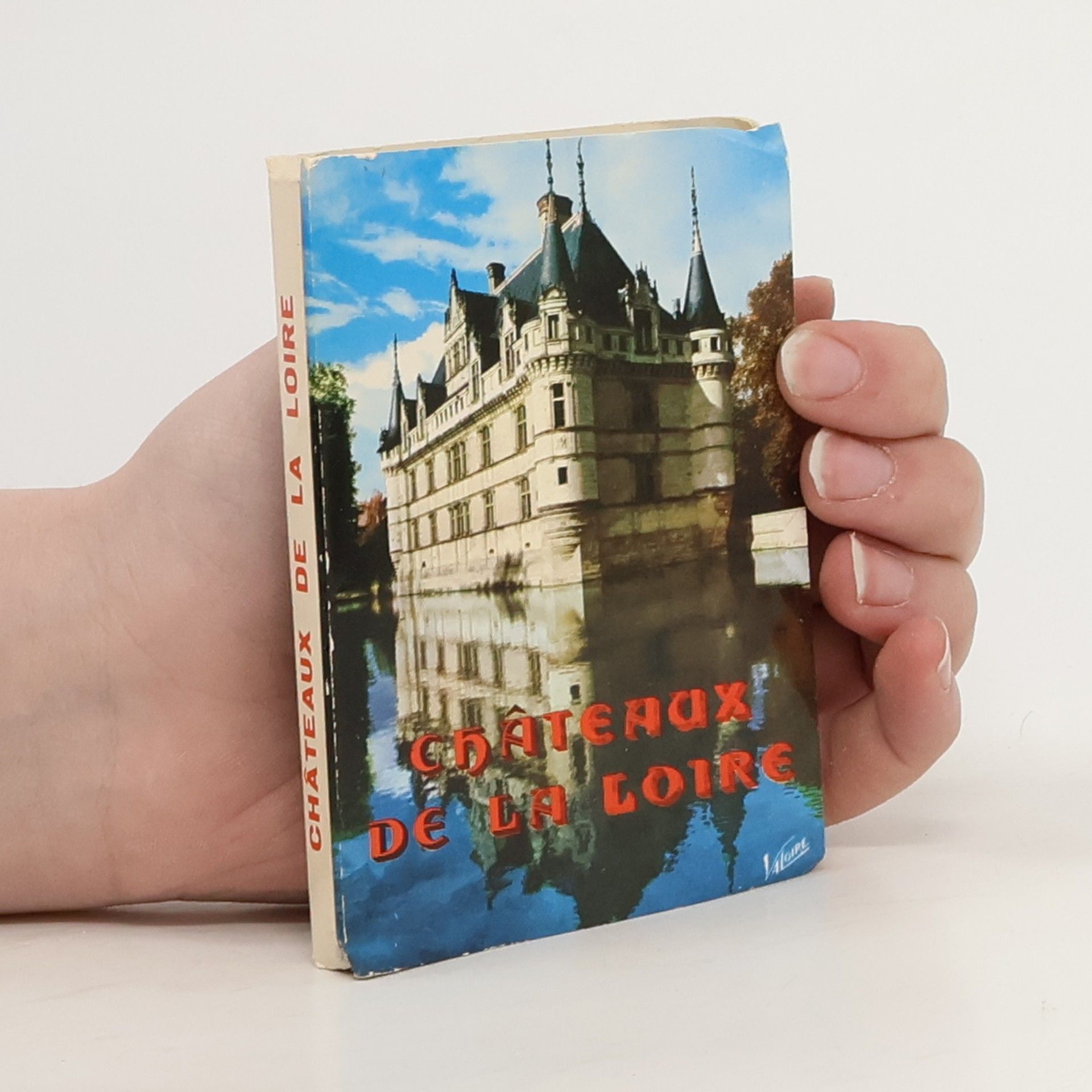 Collectif d'auteurs Chateaux de la Loire