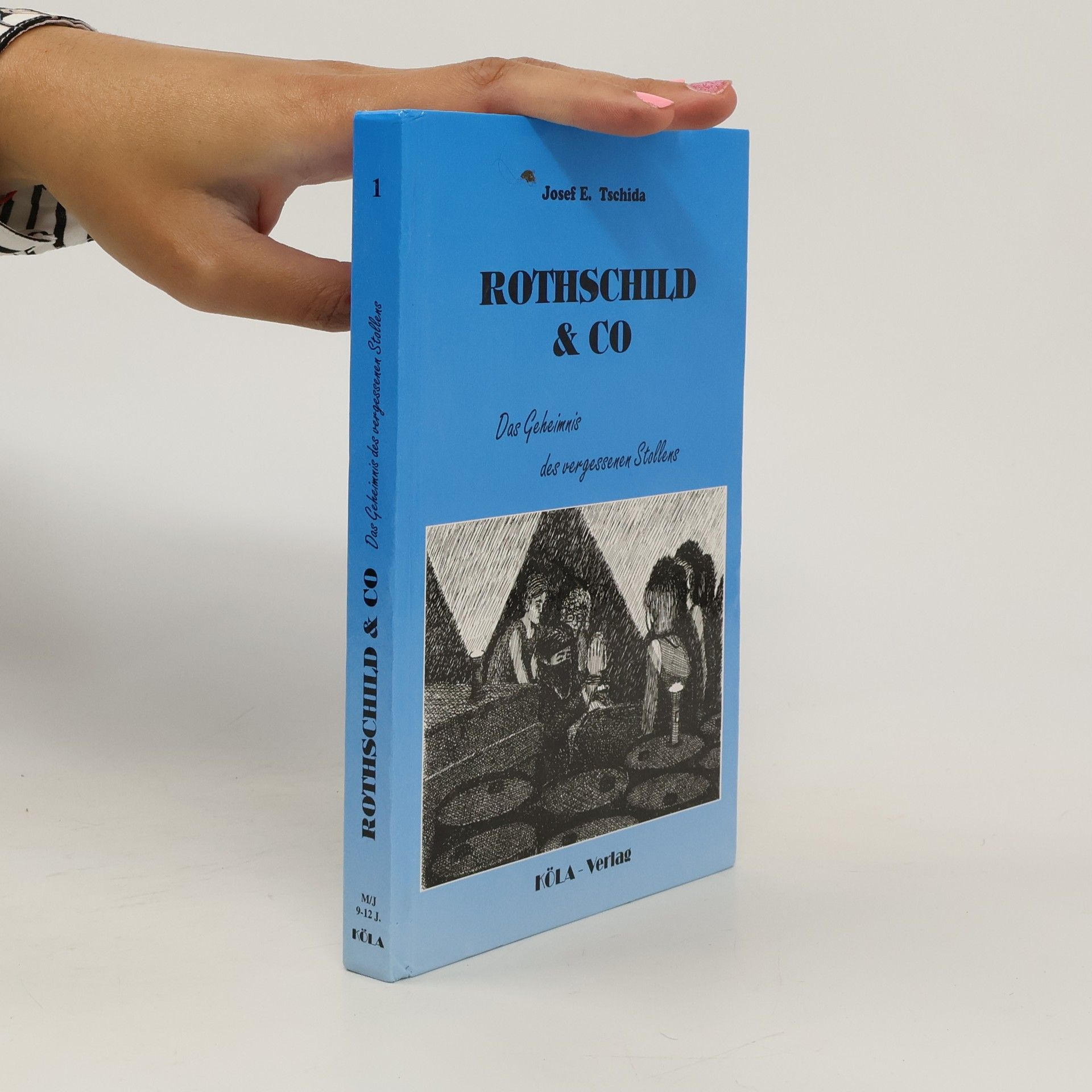 Josef E. Tschida Rothschild & Co. Das Geheimnis des vergessenen Stollens