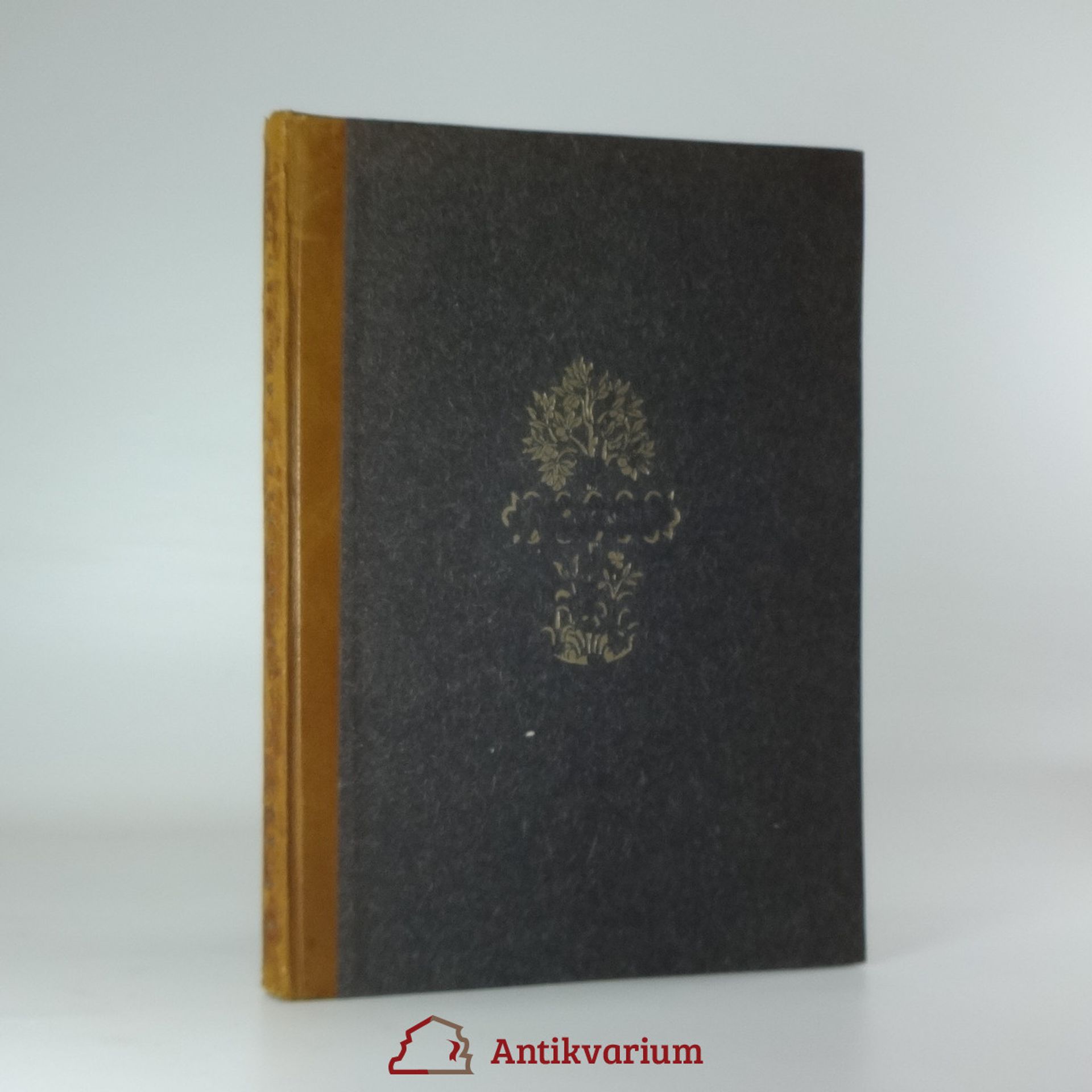 Aleksandr Valentinovič Amfiteatrov Otrávené svědomí : román