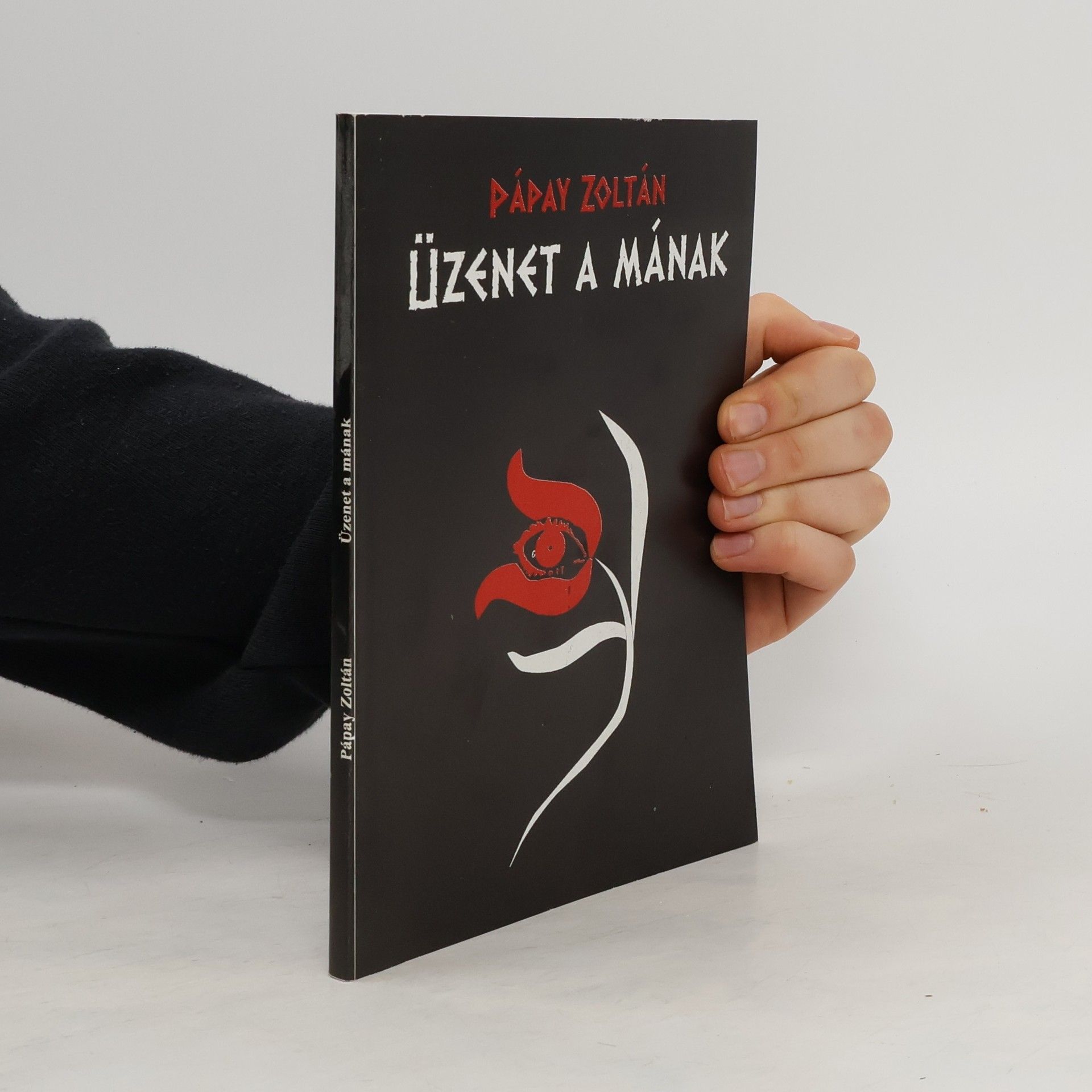 Pápay Zoltán Üzenet a mának