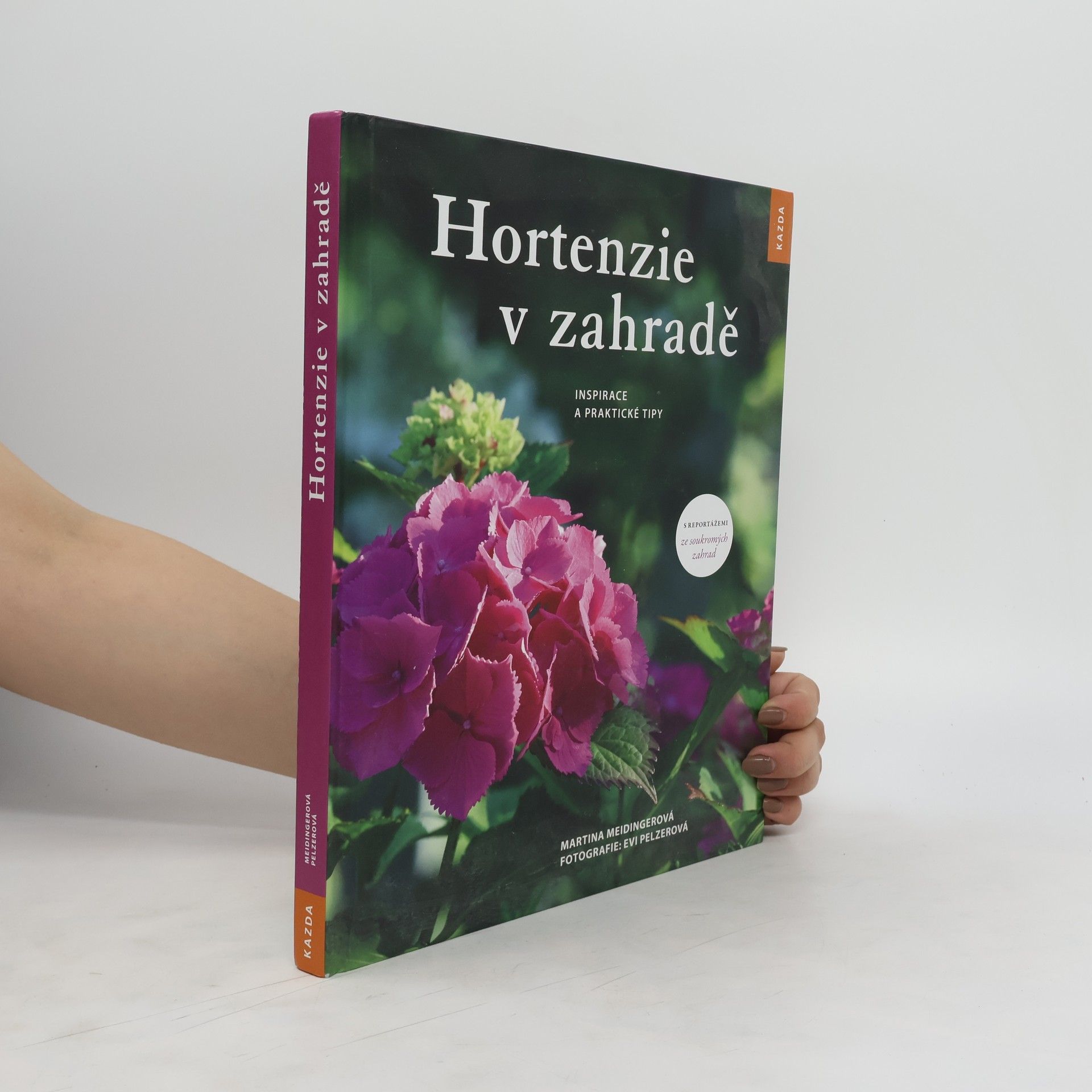 Martina Meidinger Hortenzie v zahradě