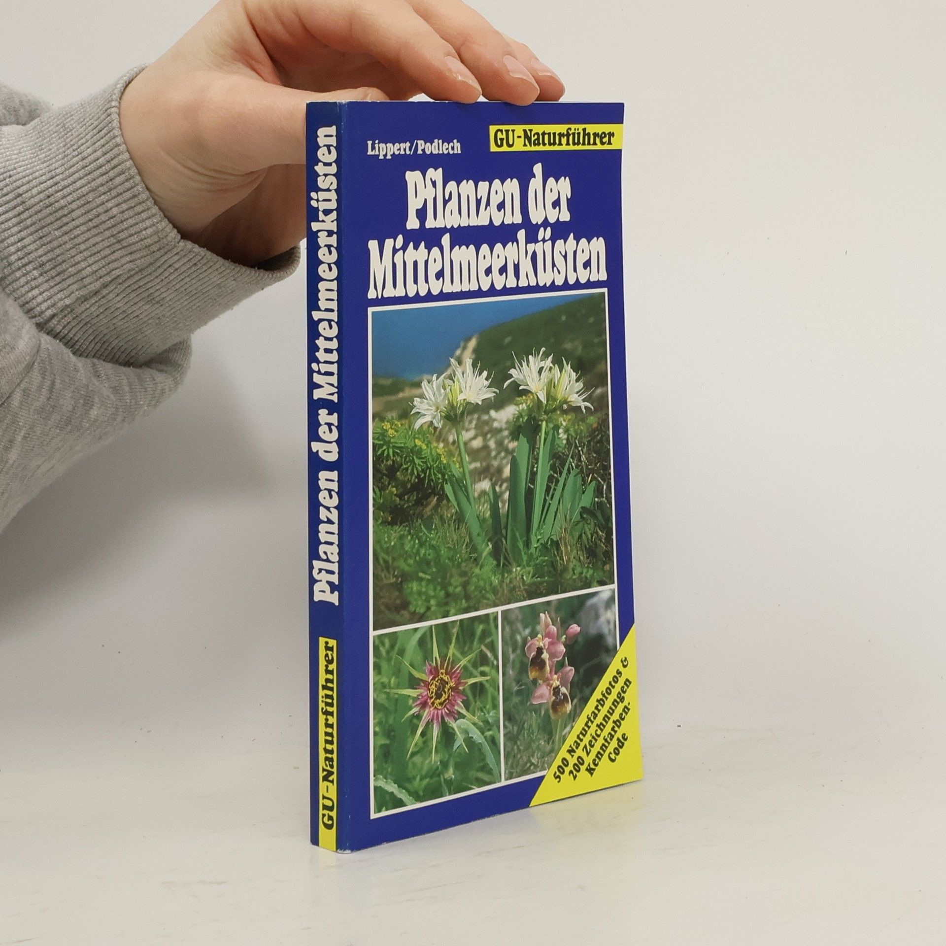 Autorenkollektiv Pflanzen der Mittelmeerküsten