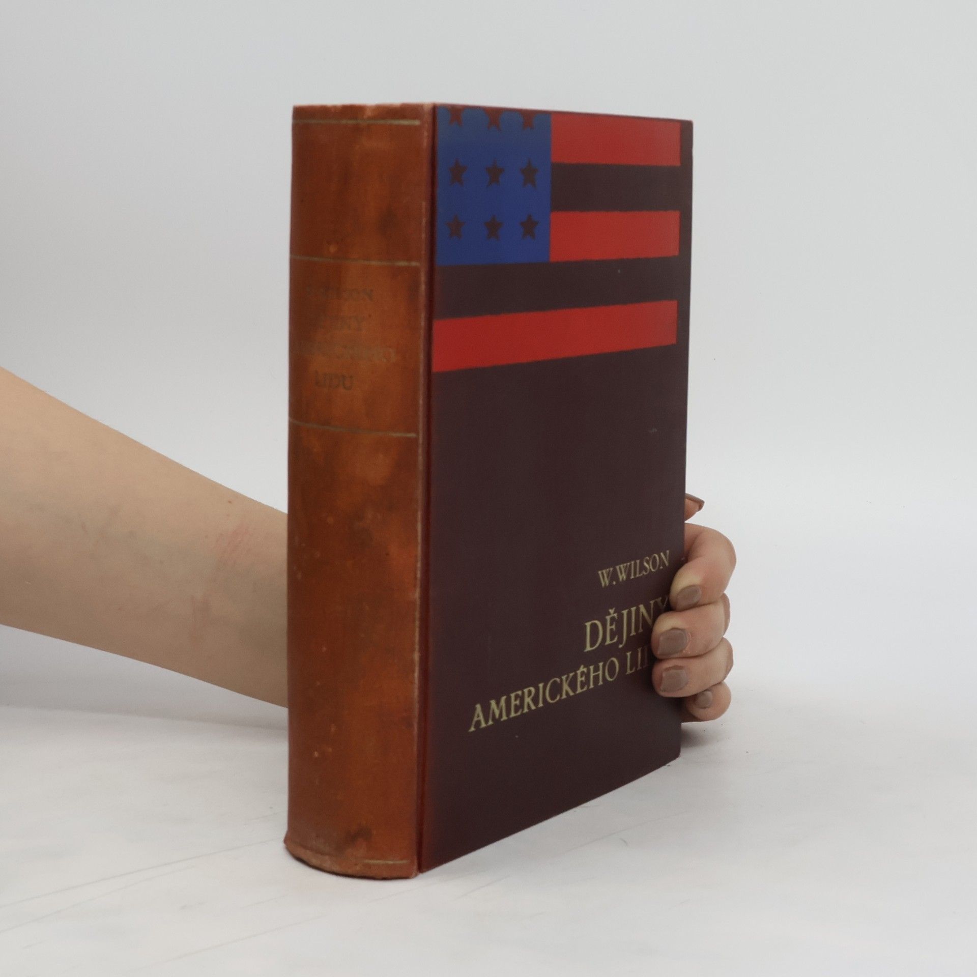 Woodrow Wilson Dějiny amerického lidu V. Sjednocení a znárodnění
