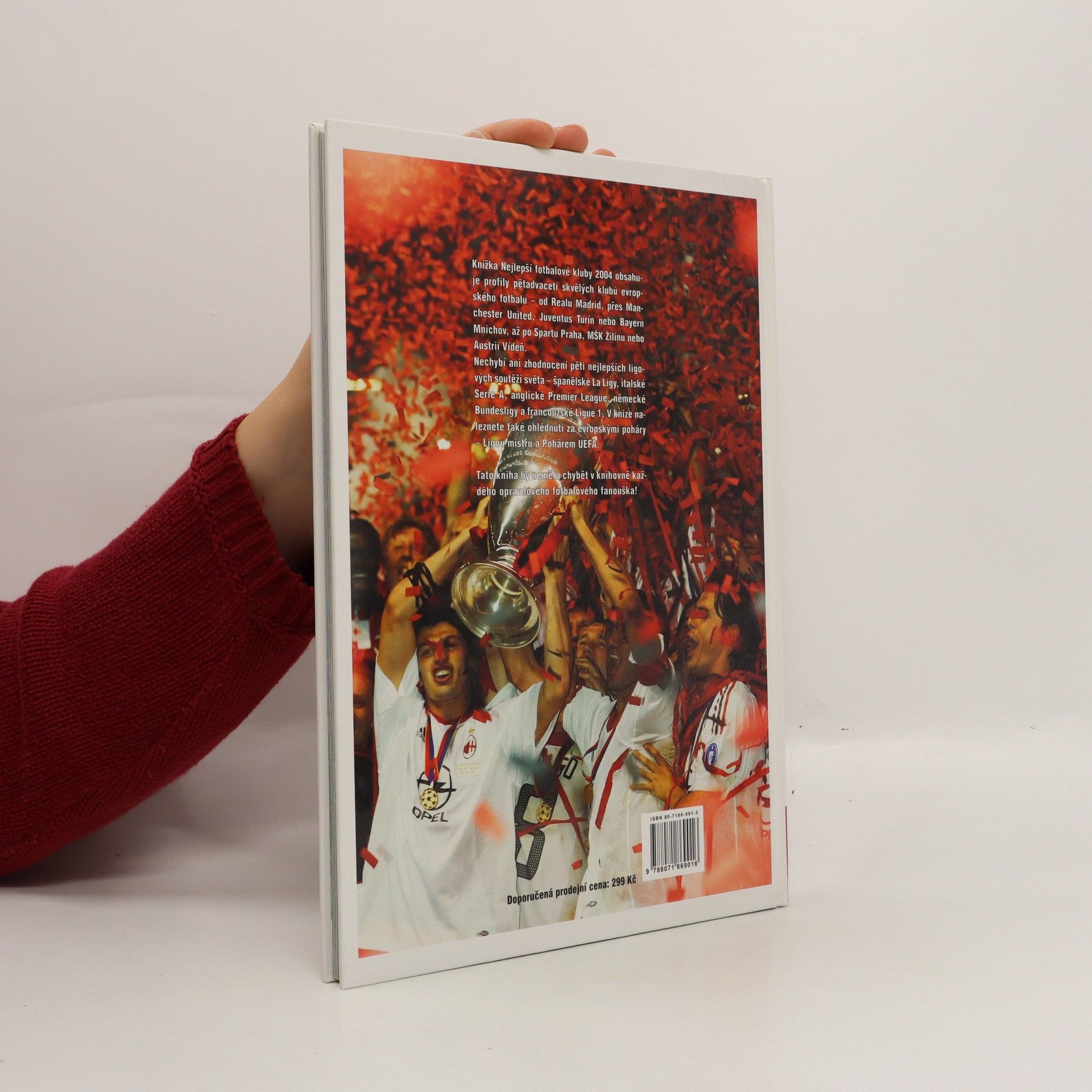 Jan Palička Nejlepší fotbalové kluby 2004