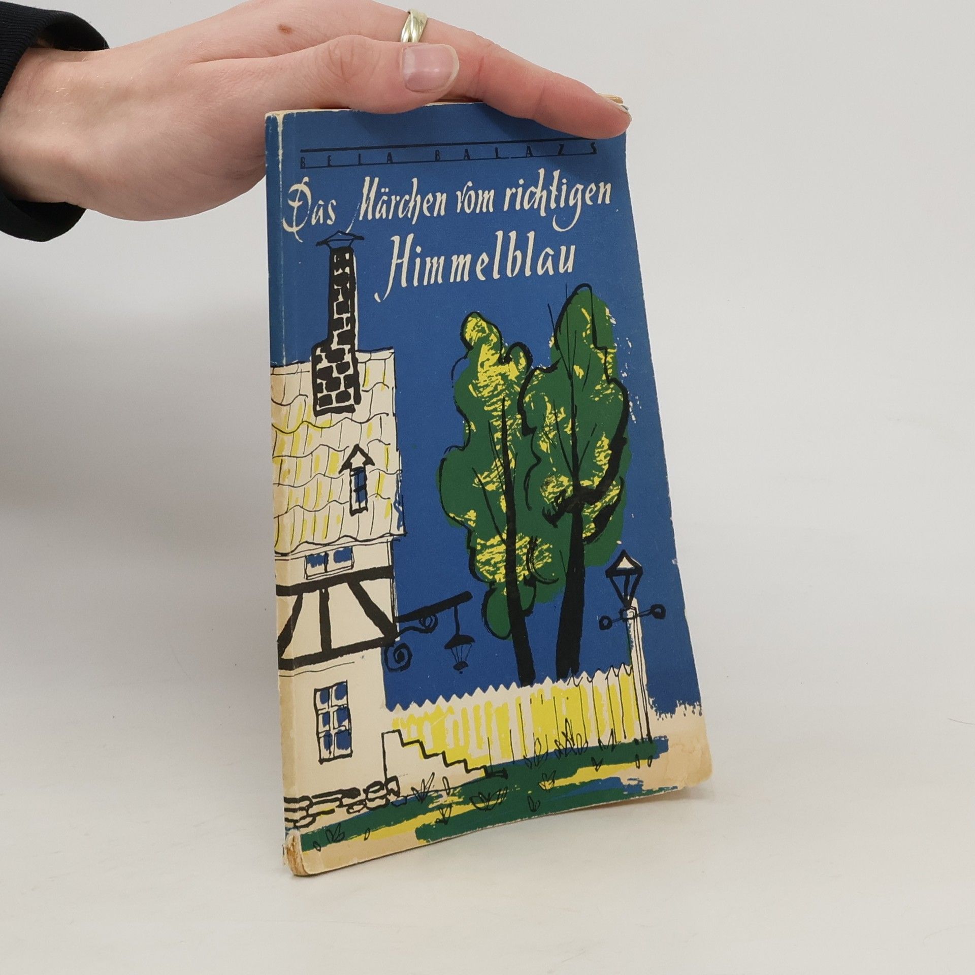 Autorenkollektiv Das Märchen vom richtigen Himmelblau