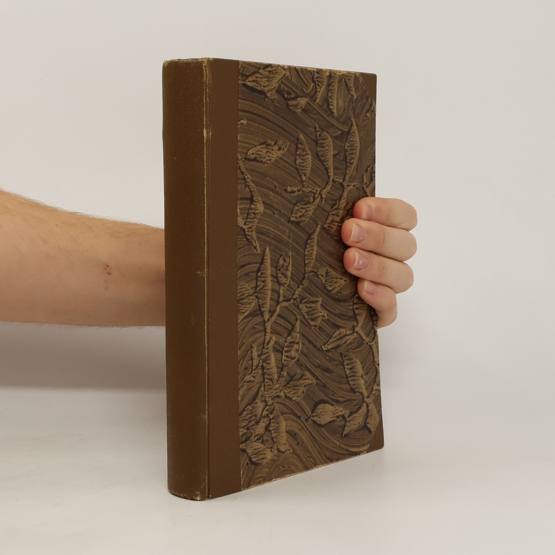 Autorenkollektiv Český včelař