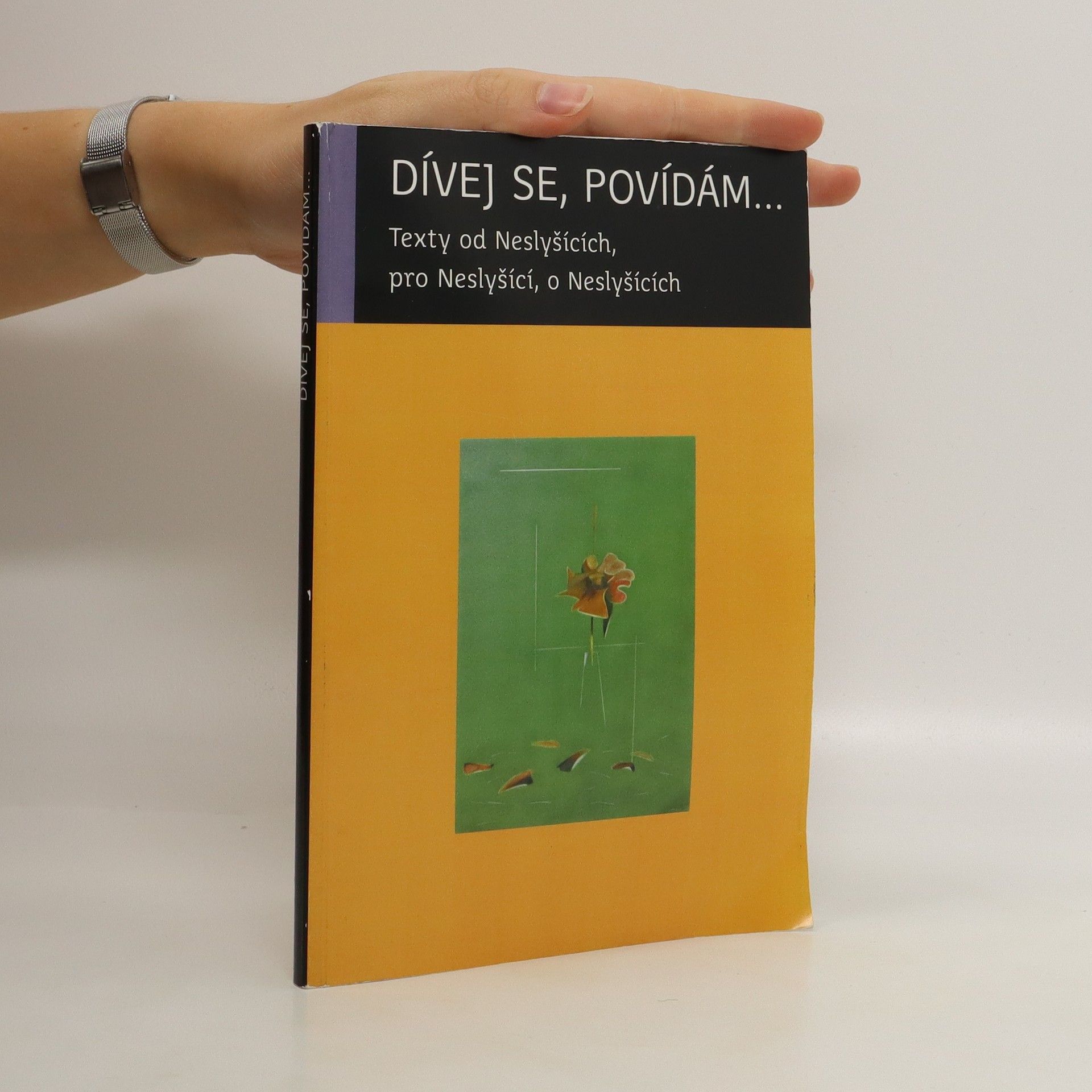 Lucie Púlpánová Dívej se, povídám...