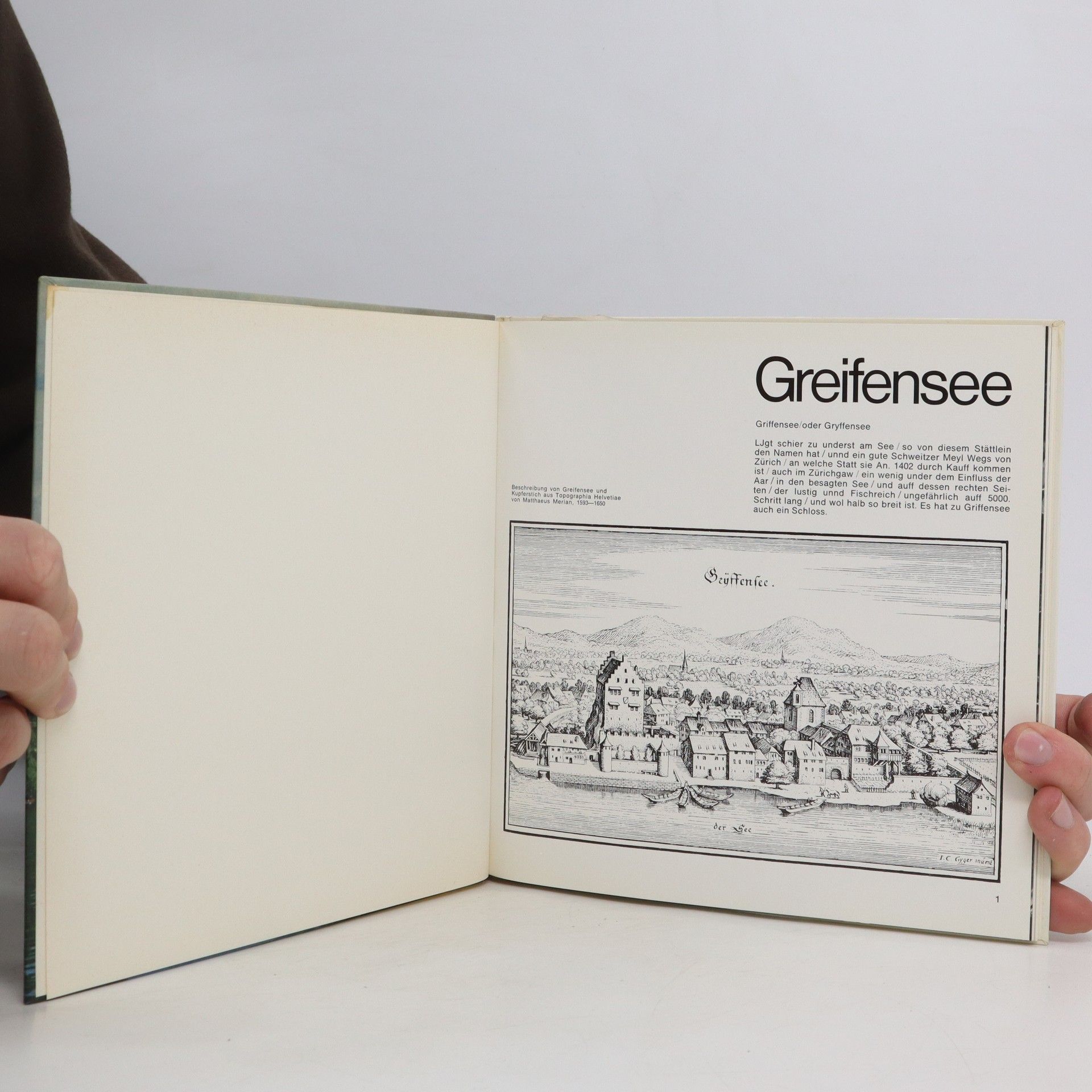 kolektiv Greifensee