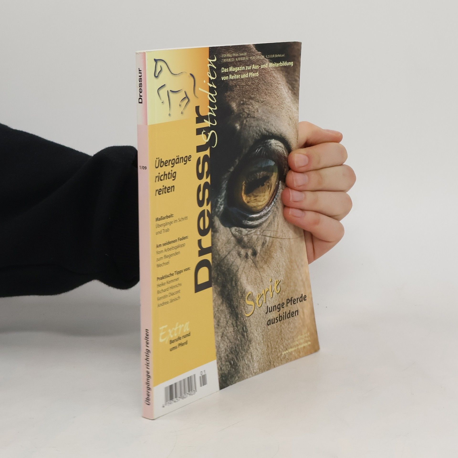 Autorenkollektiv Übergänge richtig reiten 1/2009