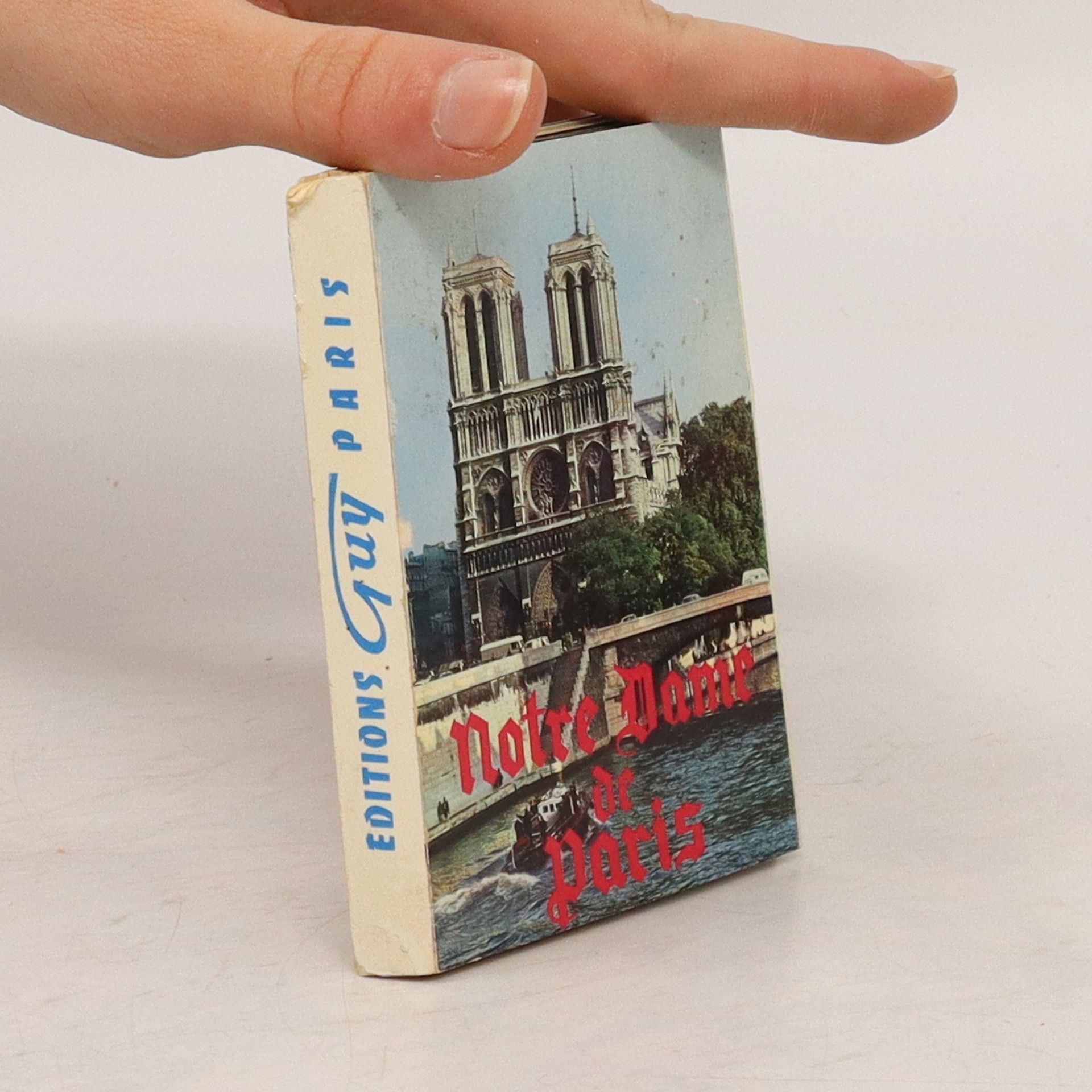 Collectif d'auteurs Notre Dame de Paris