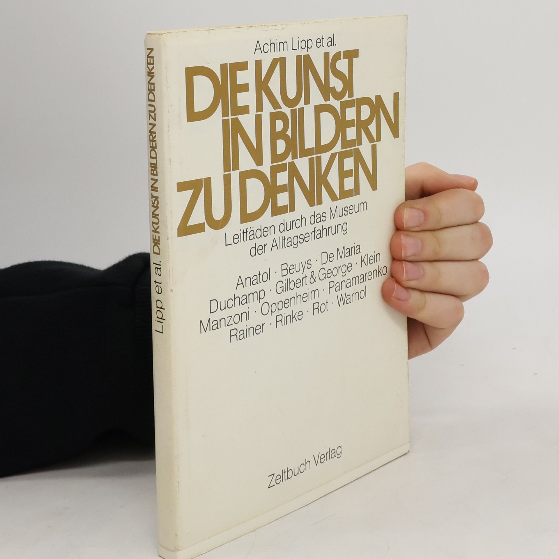 Achim Lipp Die Kunst in bildern zu denken