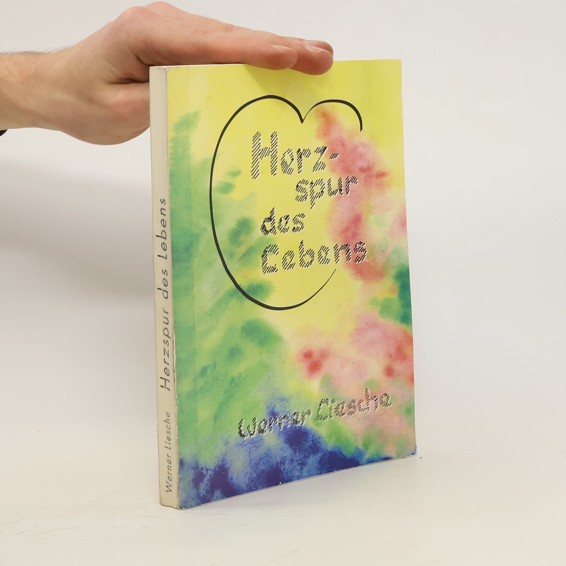 Werner Liesche Herzspur des Lebens