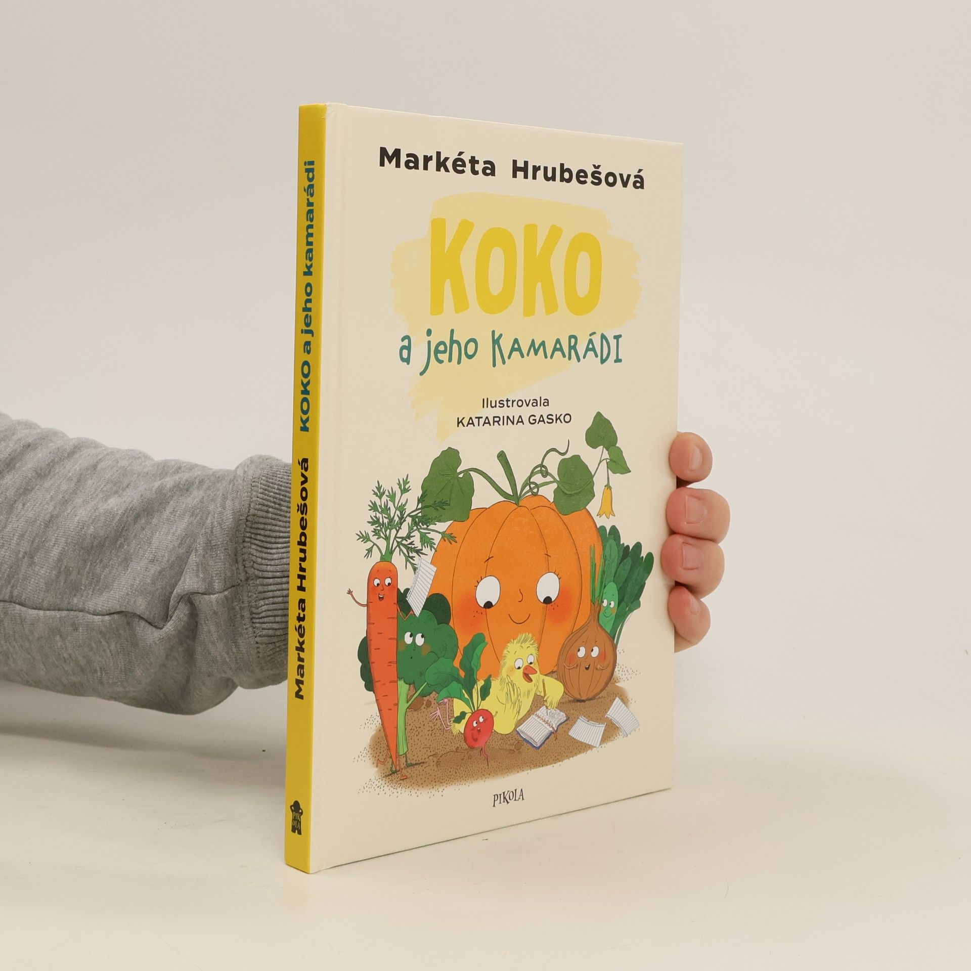 Markéta Hrubešová Koko a jeho kamarádi
