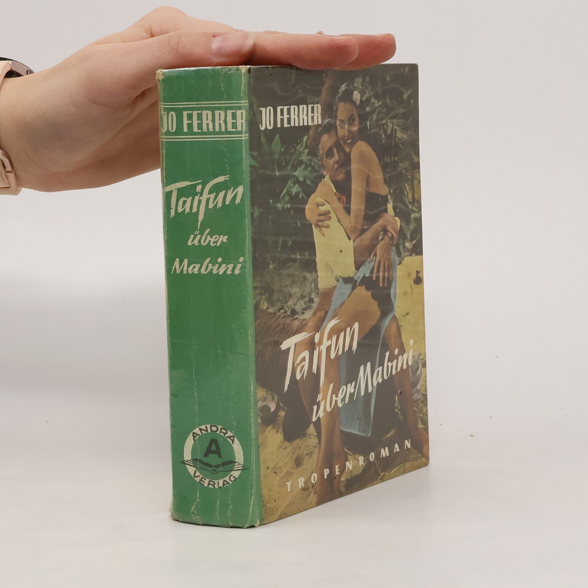 Jo Ferrer Taifun über Mabini