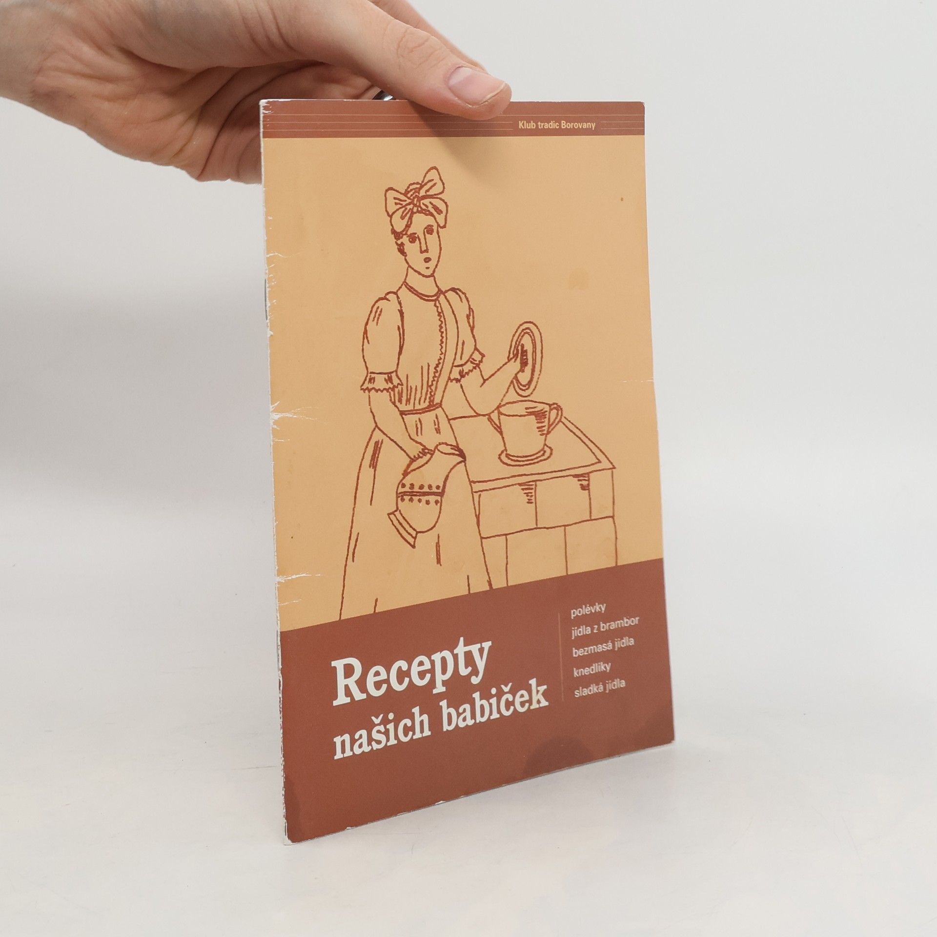 Kolektiv autorů Recepty našich babiček