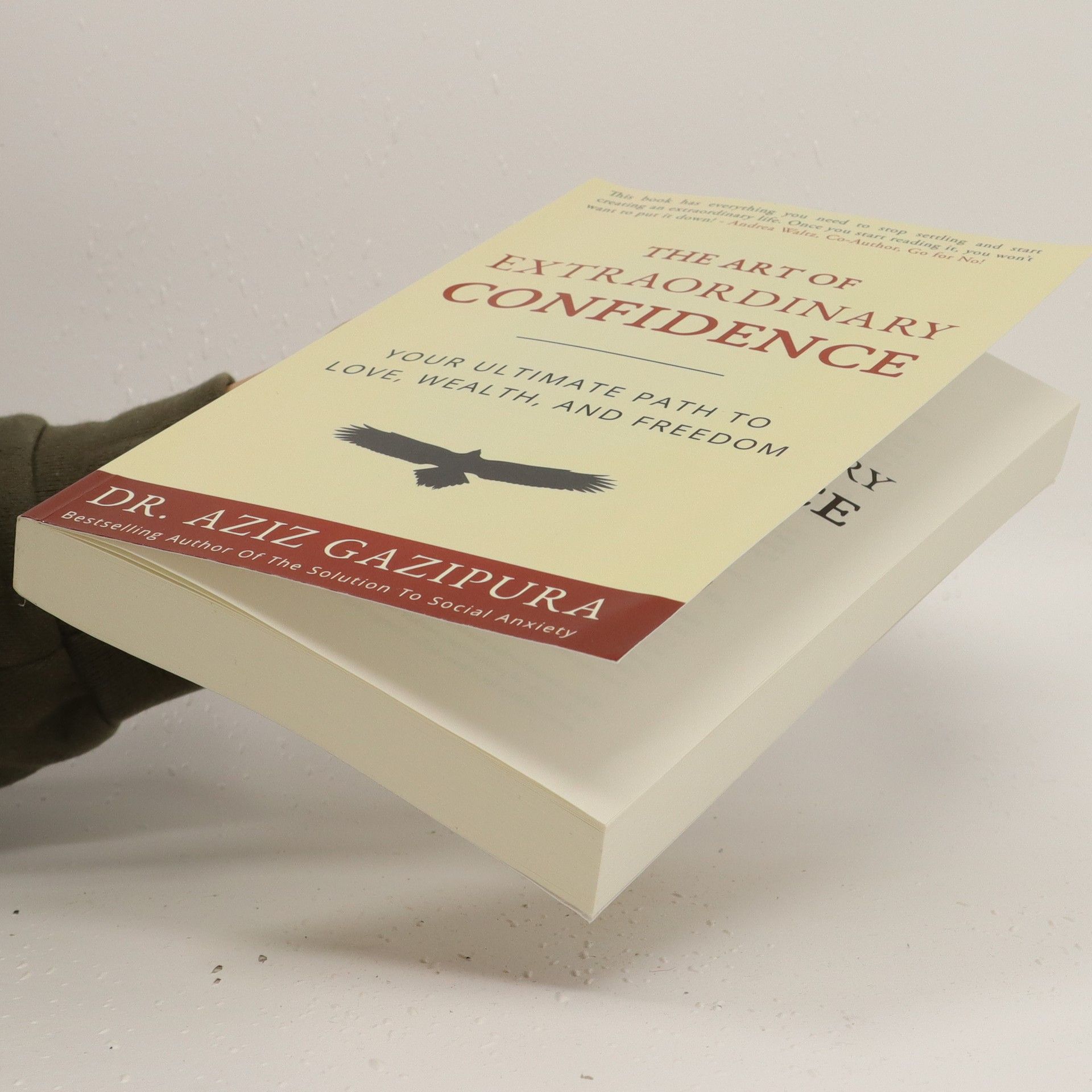 Aziz Gazipura The art of extraordinary confidence