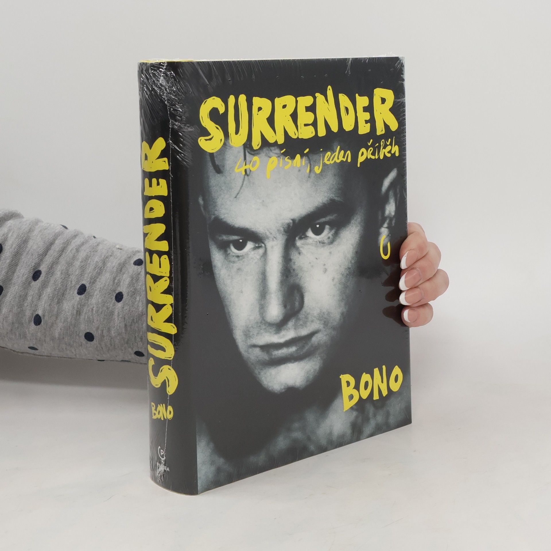 Bono Surrender : 40 písní, jeden příběh