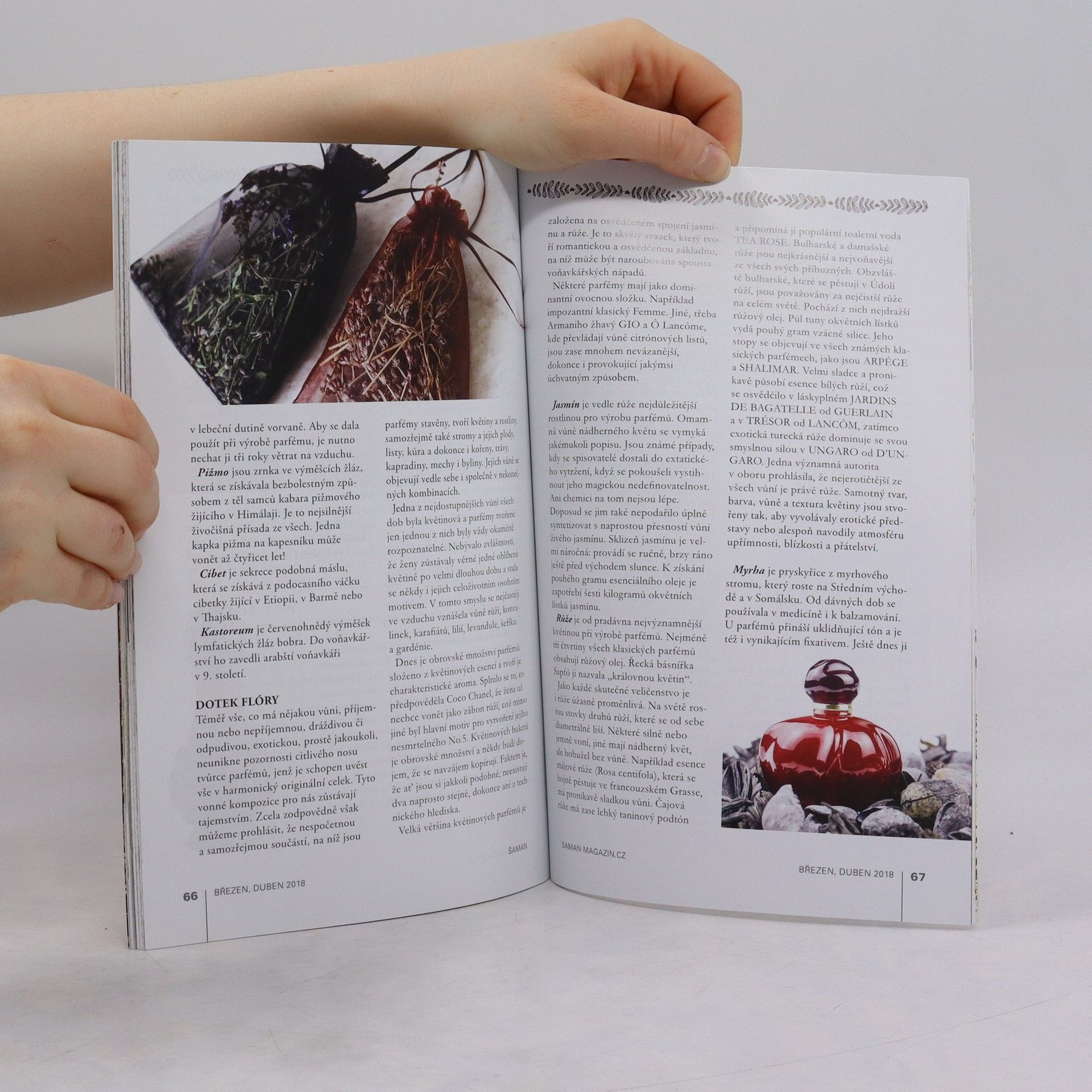 Kolektiv autorů Šaman magazín 1/2018