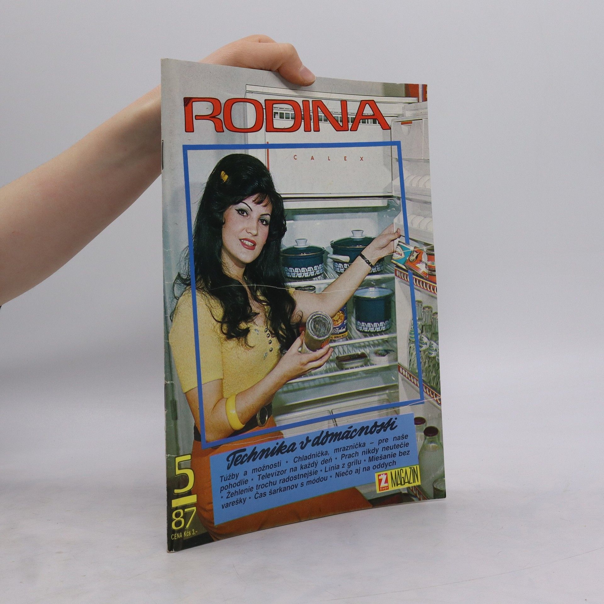 Collectif d'auteurs Rodina 5/87