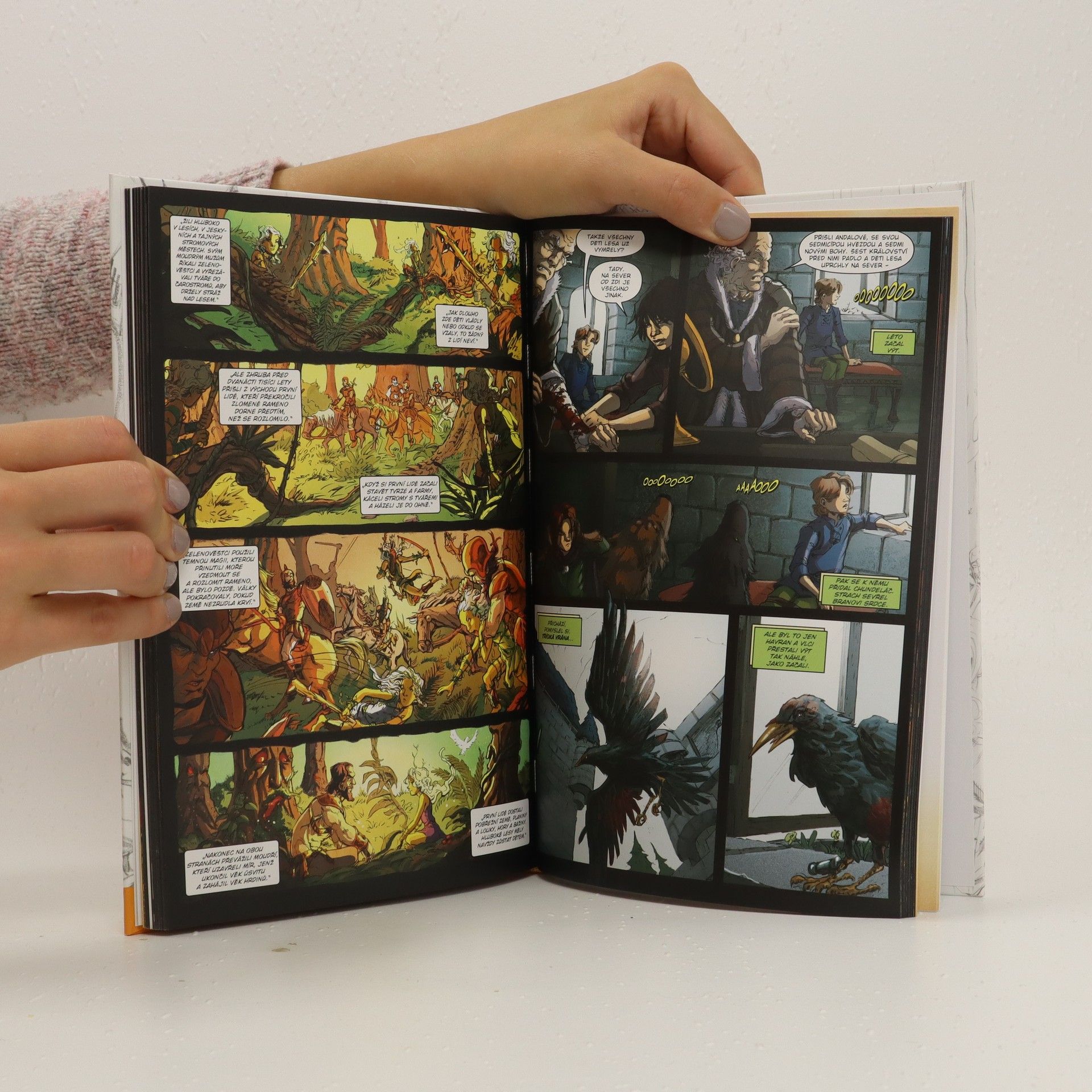 George R. R. Martin Hra o trůny : grafický román. Svazek 4