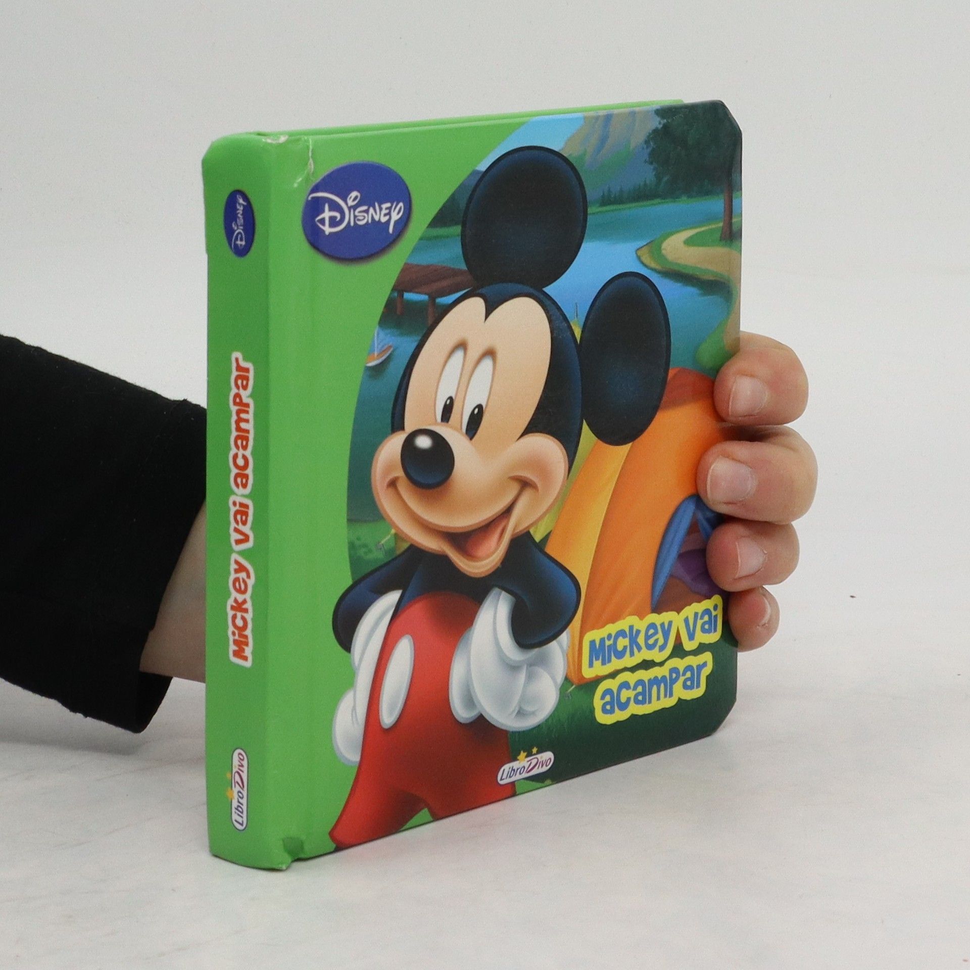 Autores varios Mickey vai acampar