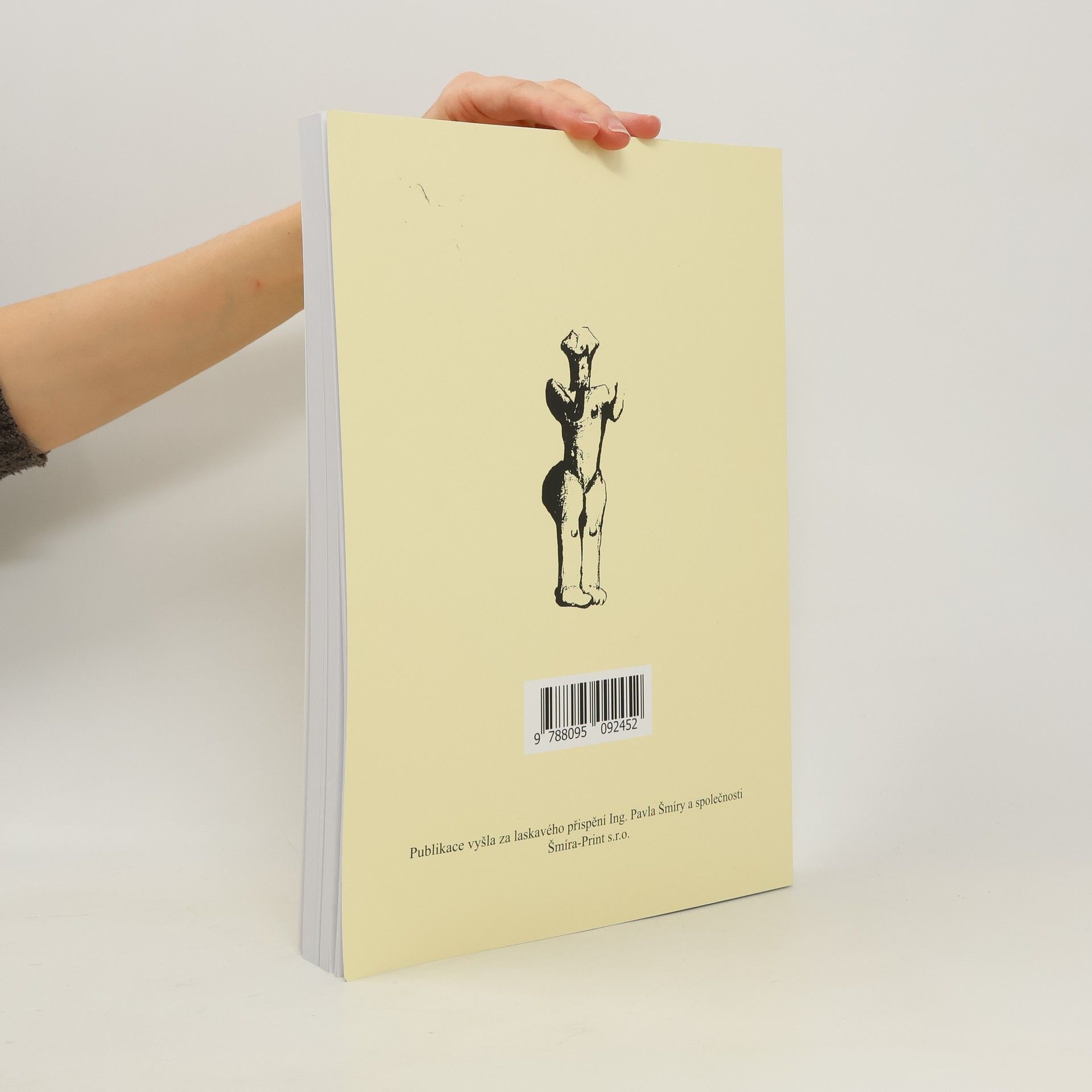 Collectif d'auteurs Archeologie Moravy a Slezska
