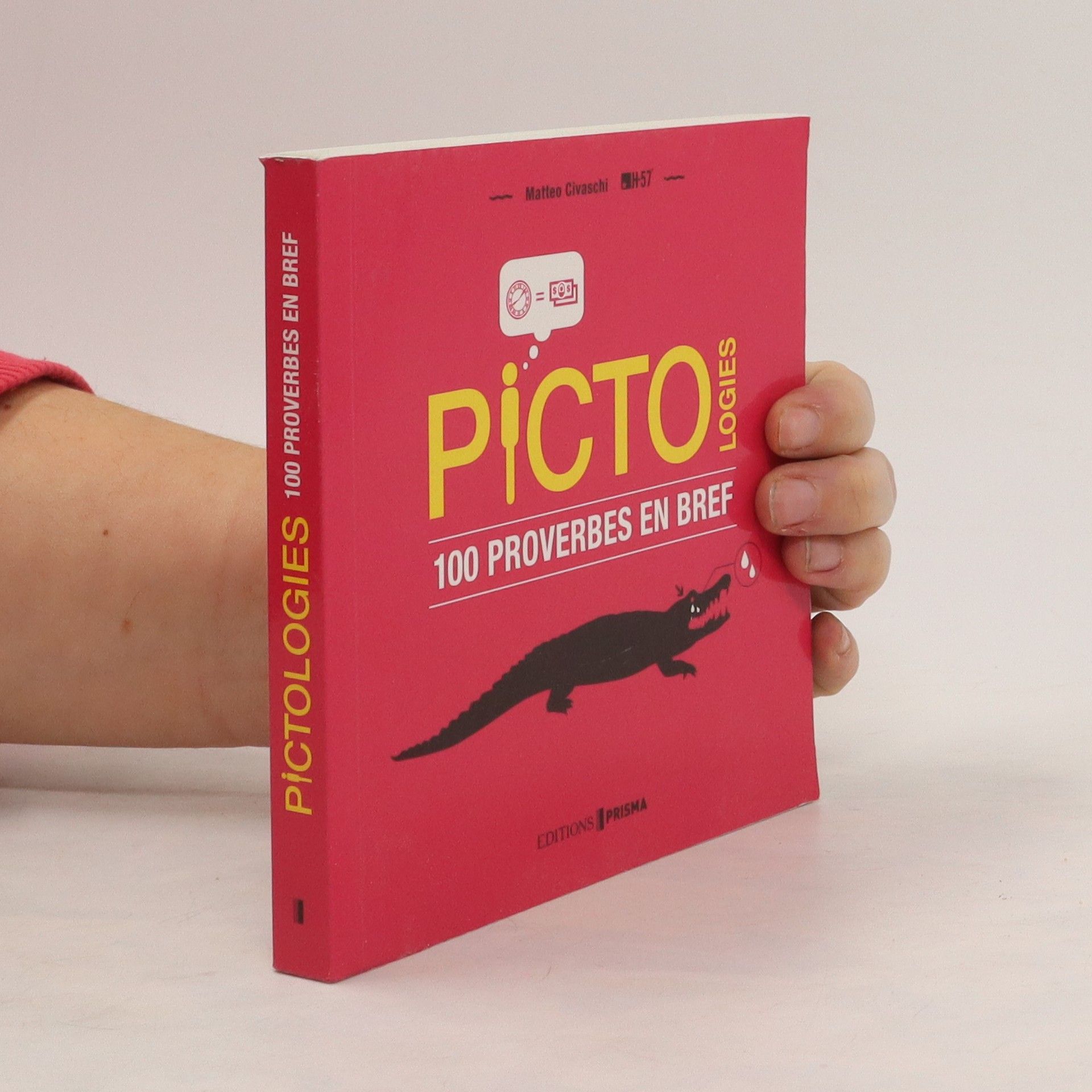 Matteo Civaschi Picto Logies. 100 proverbes en bref