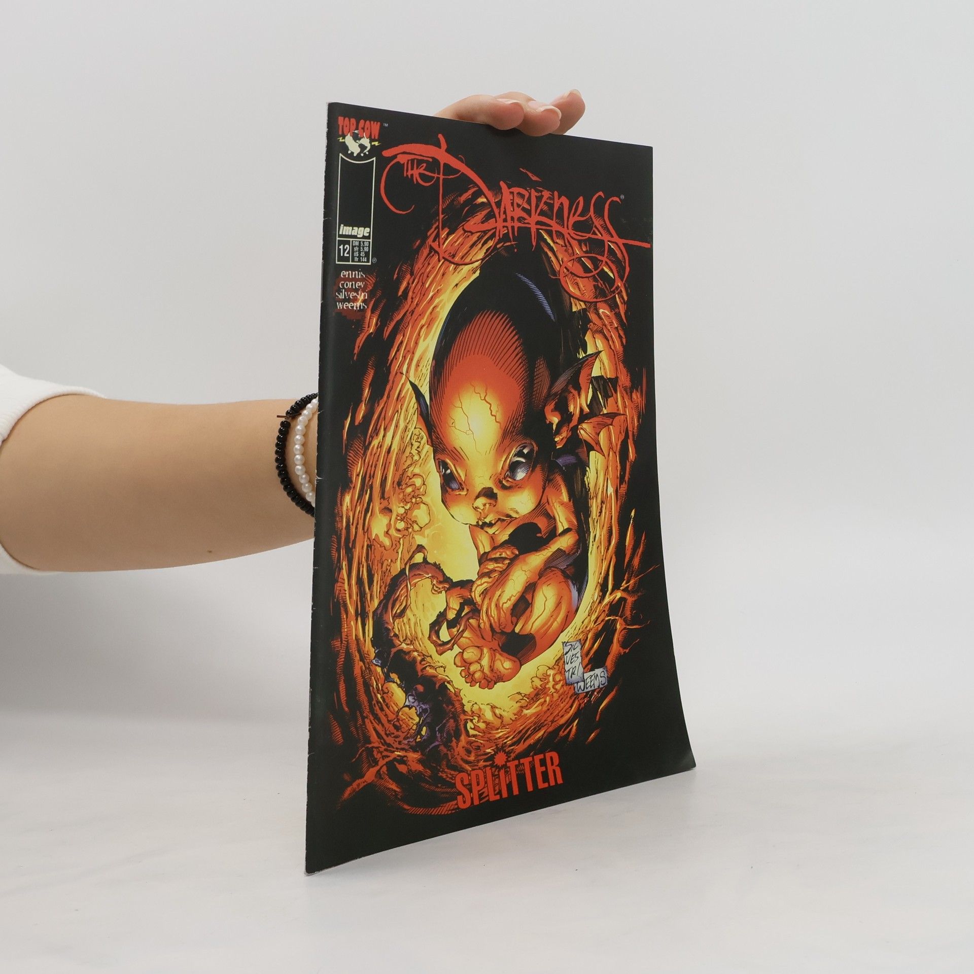 Auteurscollectief The Darkness 12