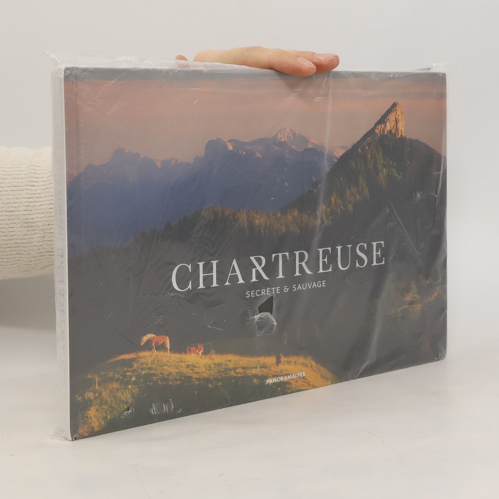 Collective Chartreuse