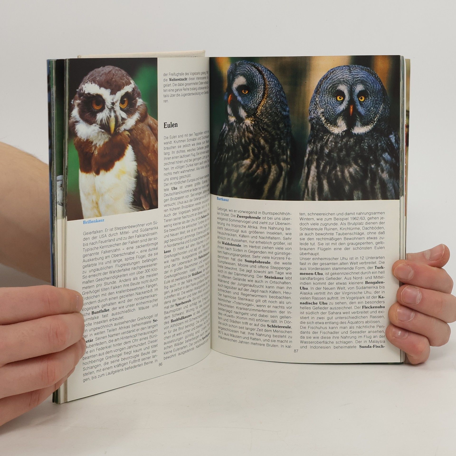 Autorenkollektiv Vogelpark Walsrode