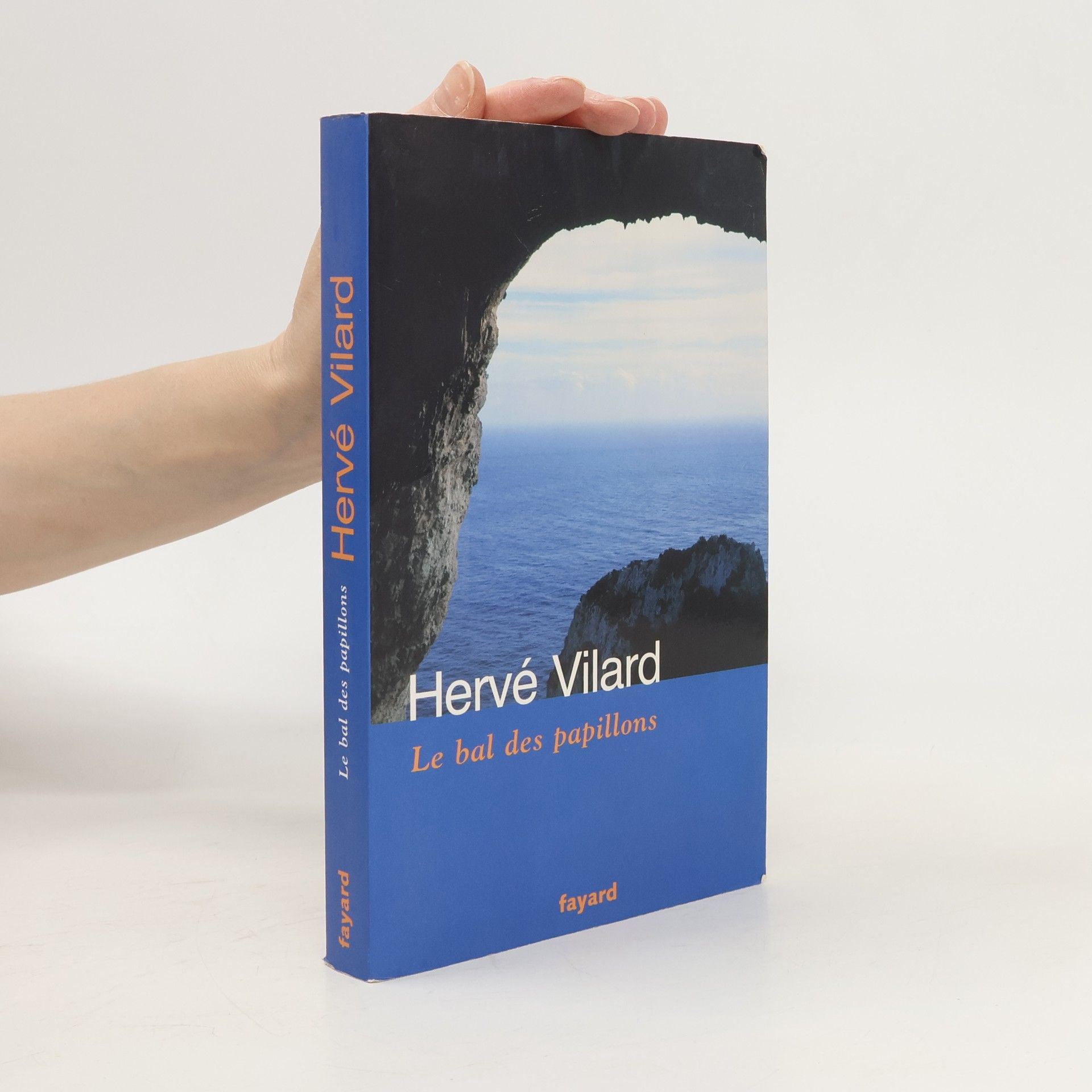 Le bal des papillons