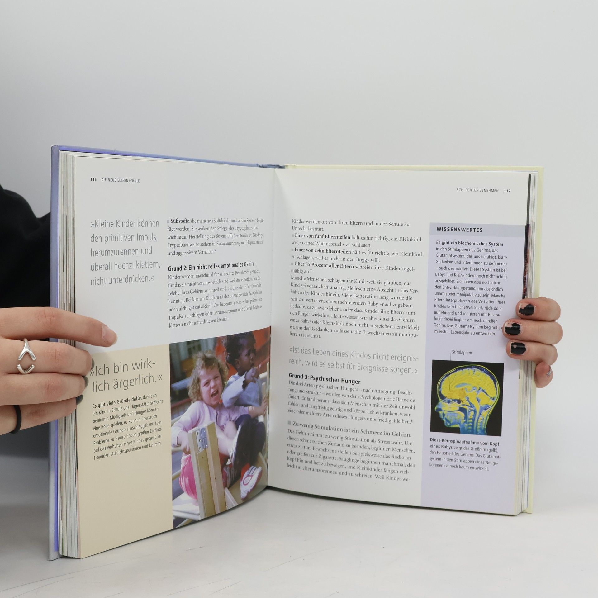 Margot Sunderland Die neue Elternschule