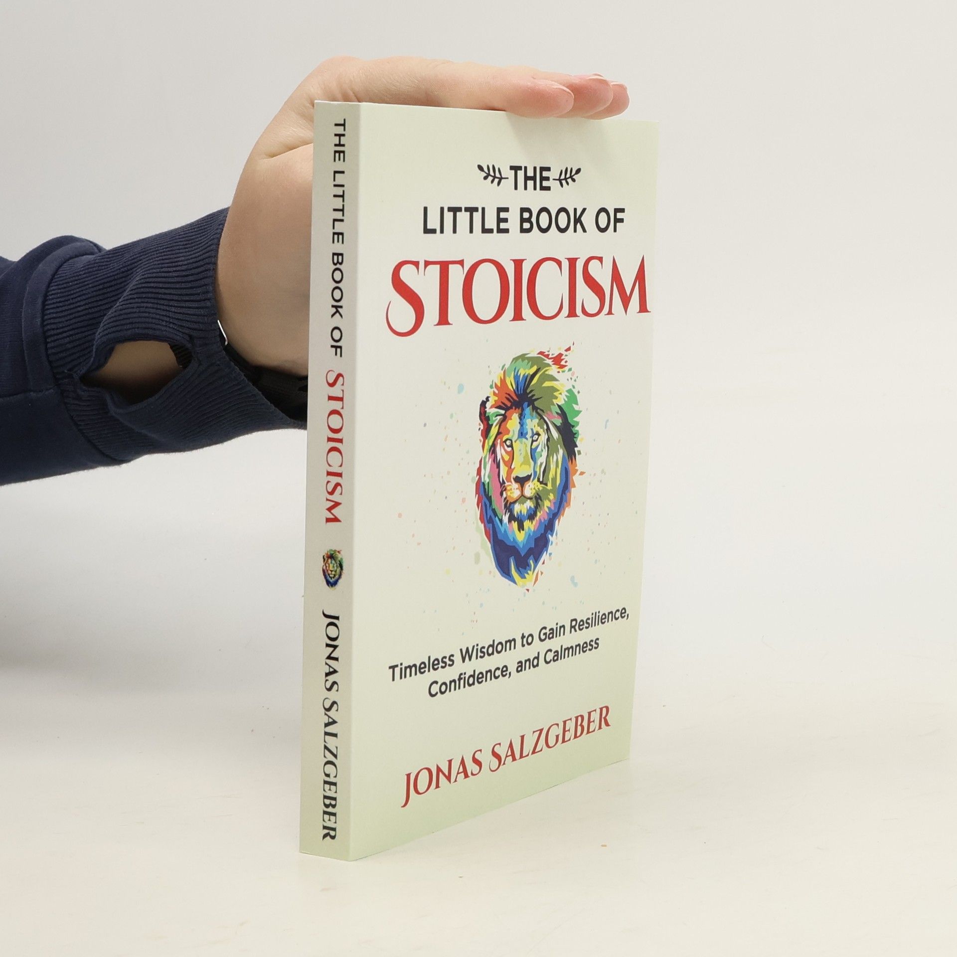 Jonas Salzgeber The little book of stoicism