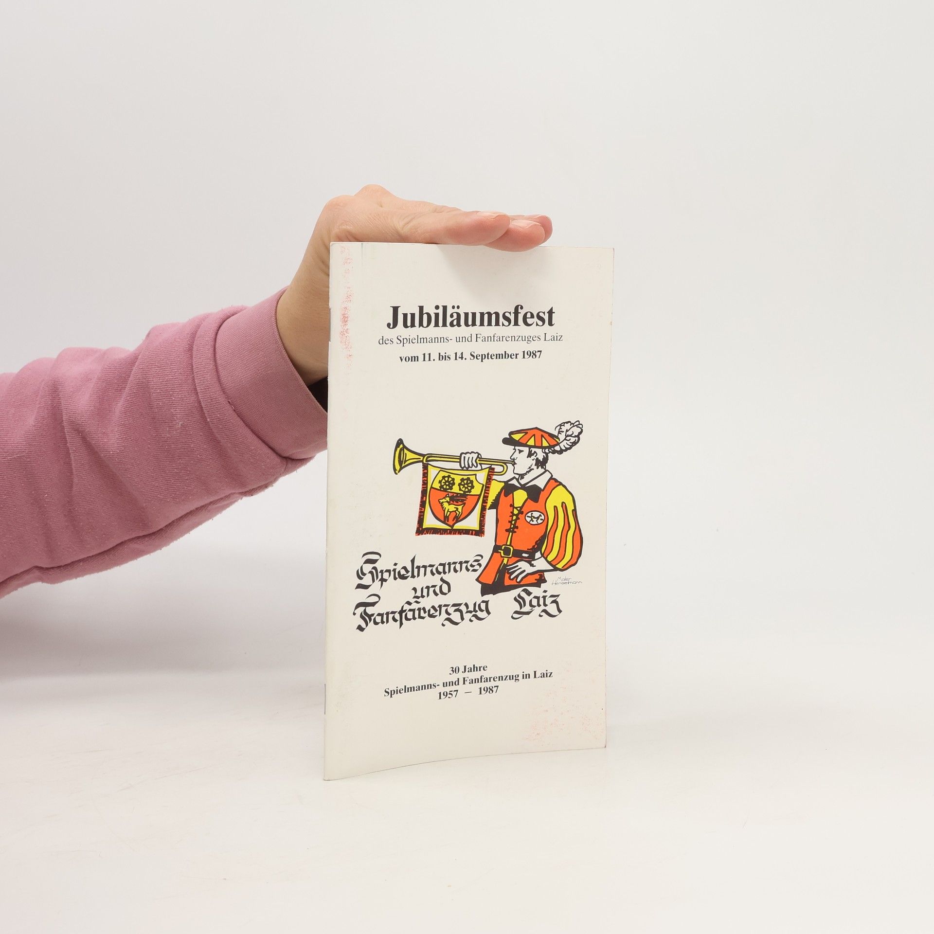 Collectif d'auteurs Jubiläumsfest des Spielmanns- und Fanfarenzuges Laiz