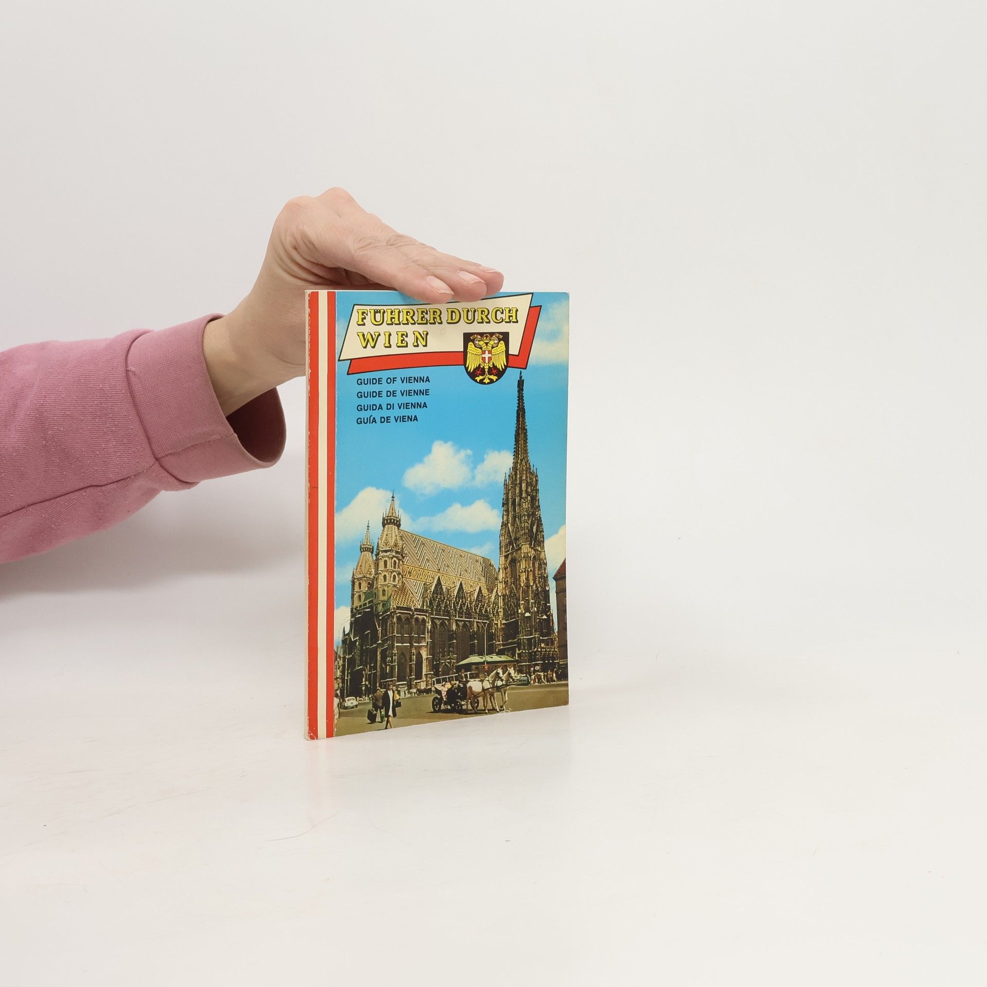 Autorenkollektiv Frührer durch Wien