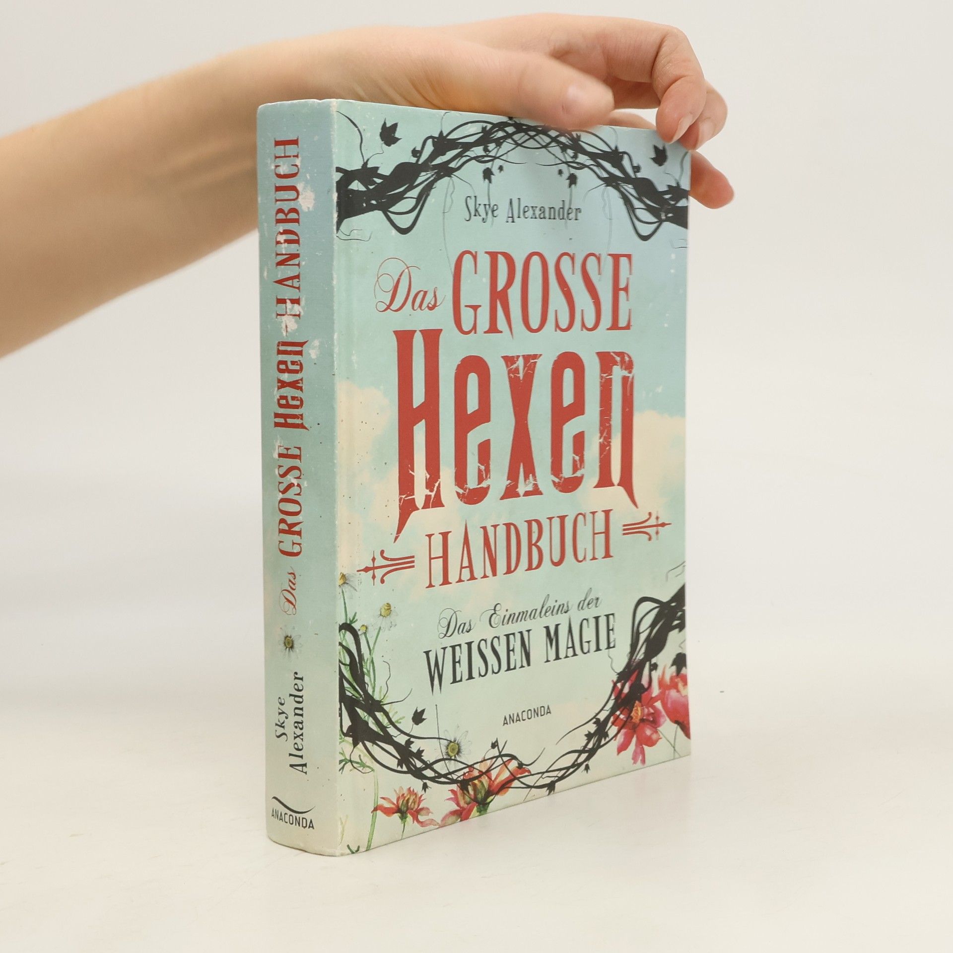Skye Alexander Das große Hexen-Handbuch
