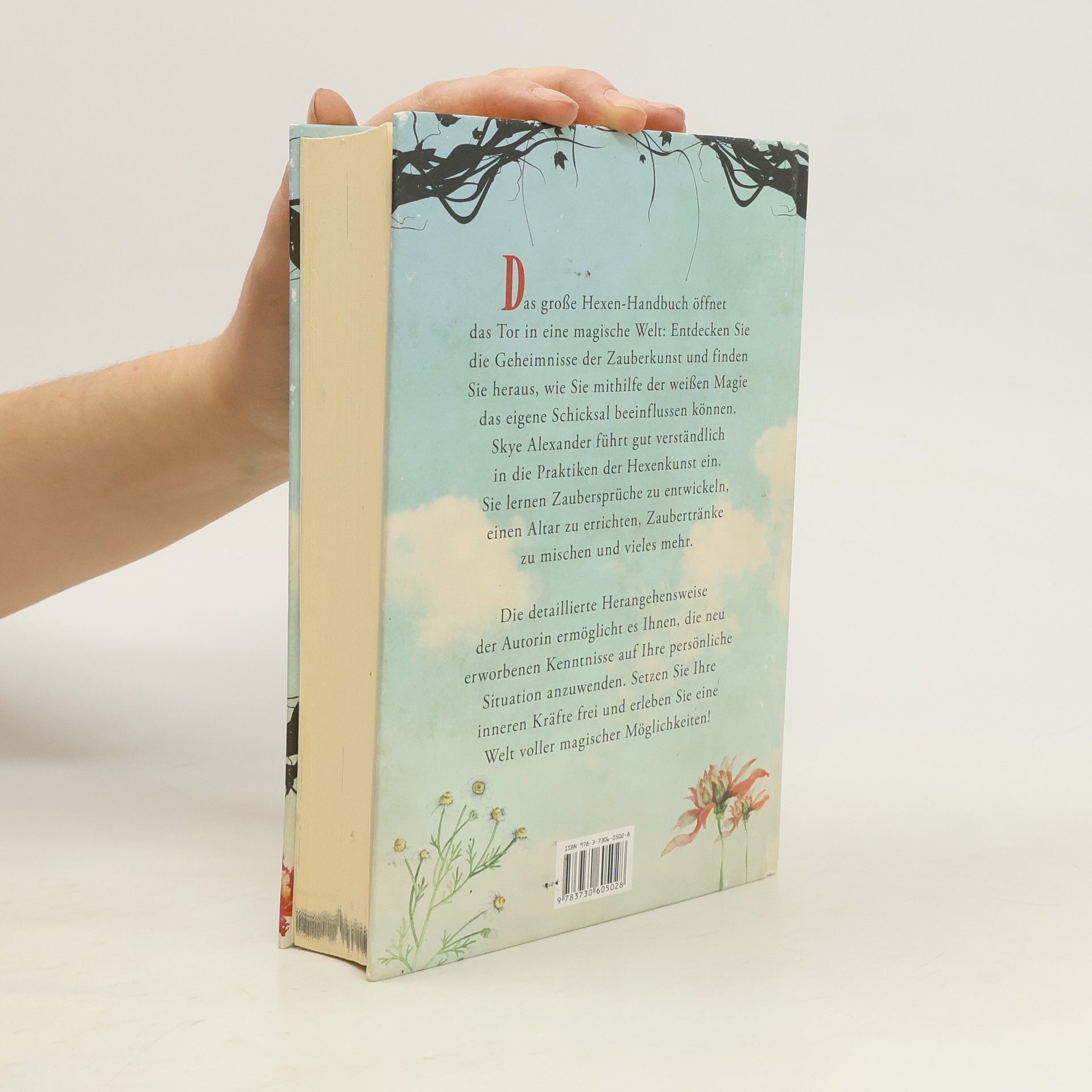 Skye Alexander Das große Hexen-Handbuch