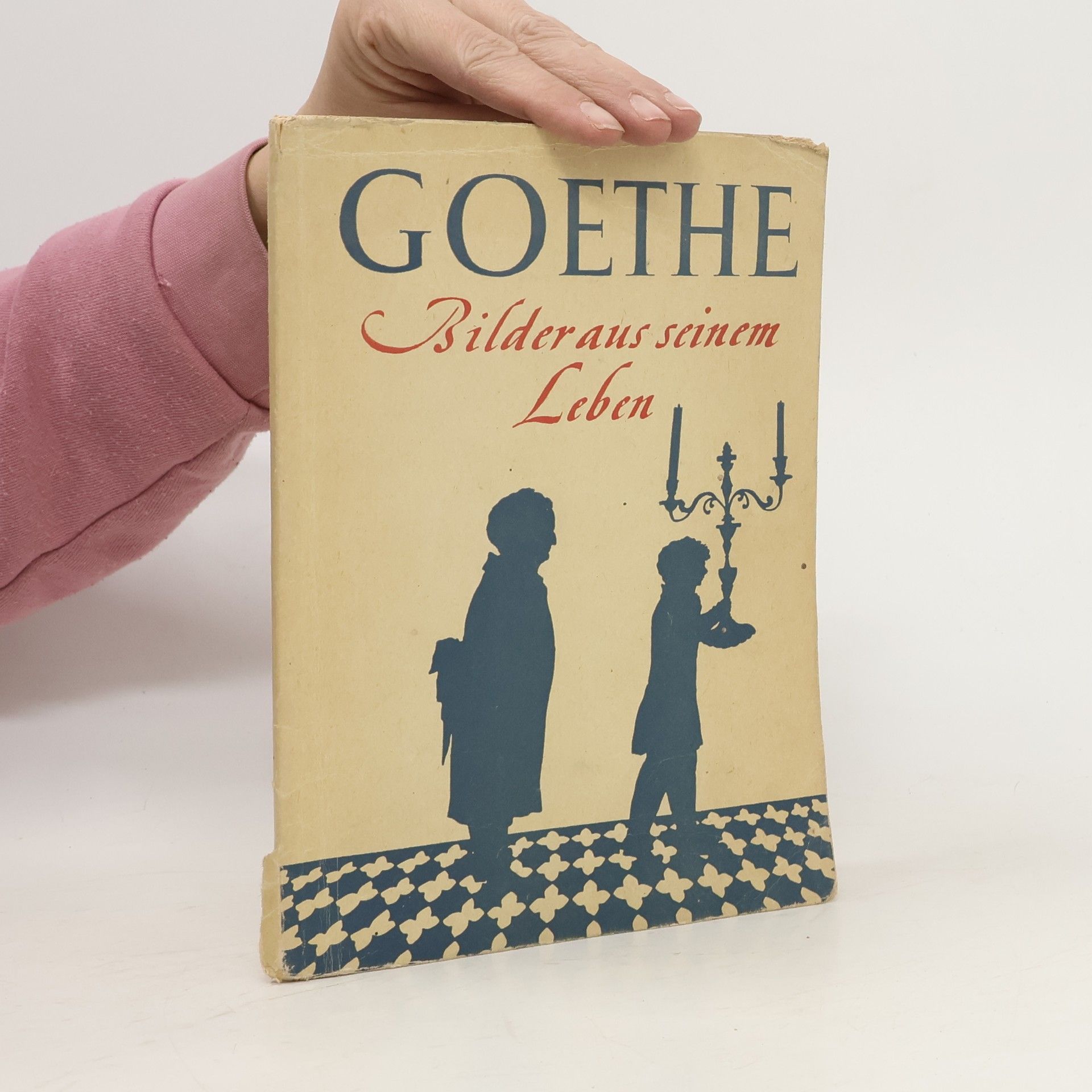 AA.VV. Goethe. Bilderaus seinem Leben